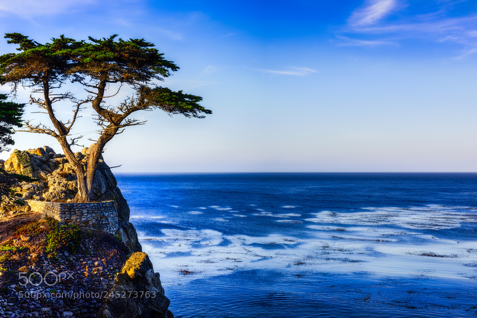 Nikon D810 sample photo. Lone cypress photography