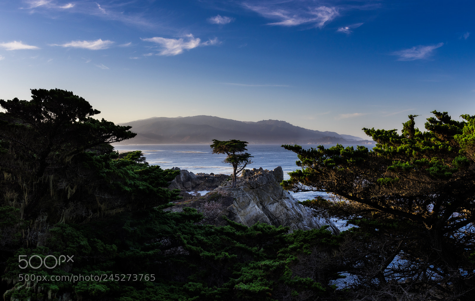 Nikon D810 sample photo. Lone cypress photography