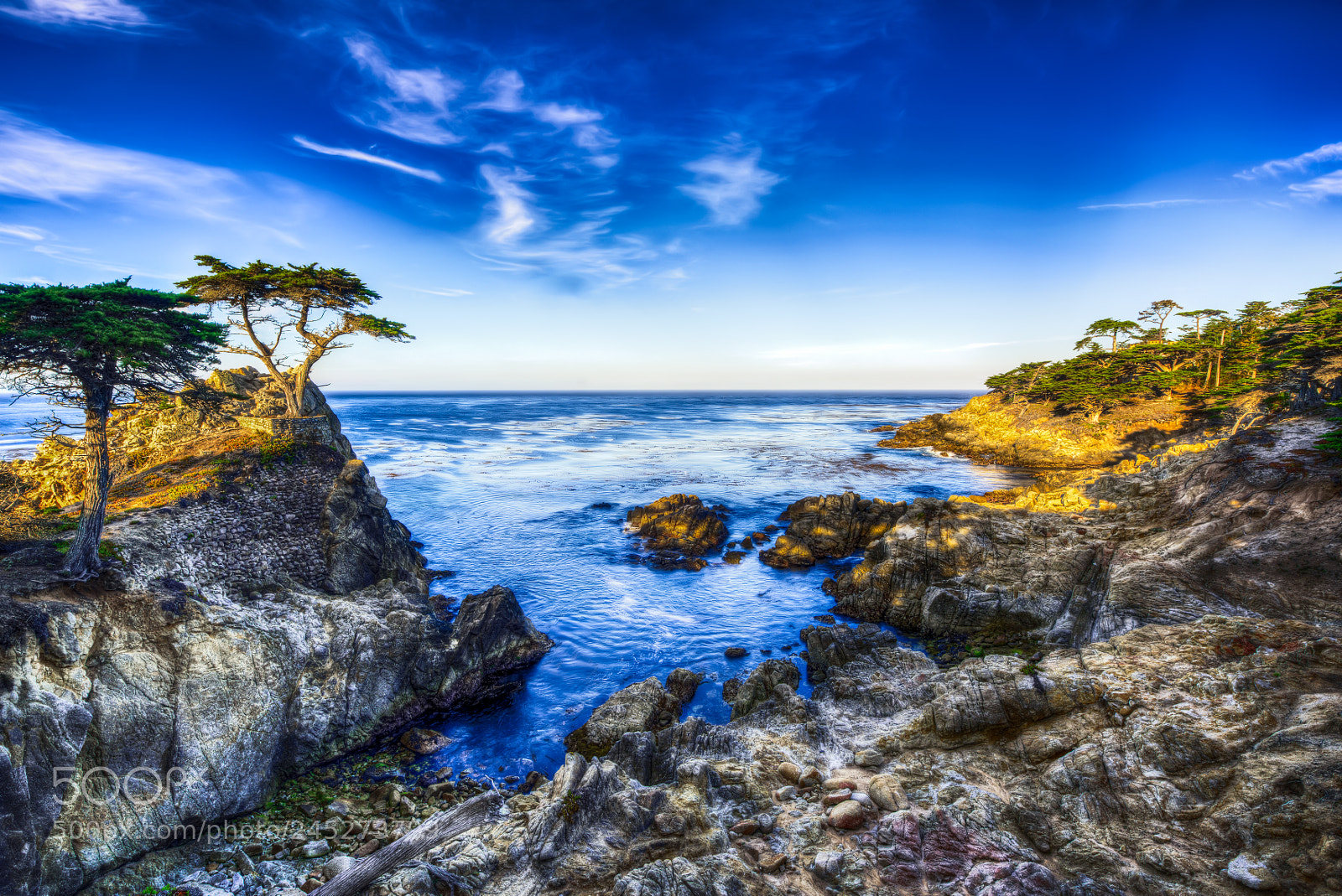 Nikon D810 sample photo. Lone cypress photography