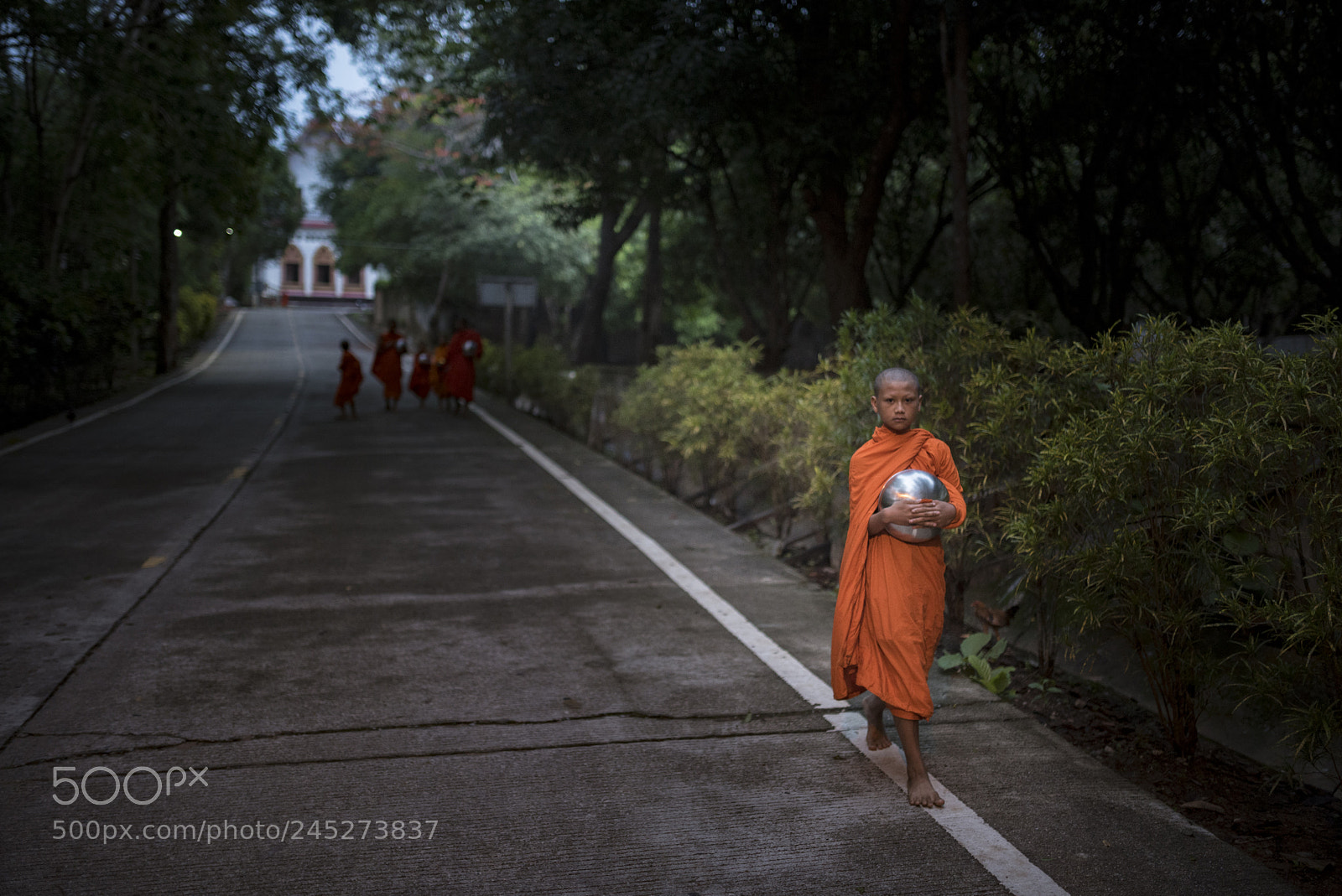 Nikon D750 sample photo. Small monk is walking photography