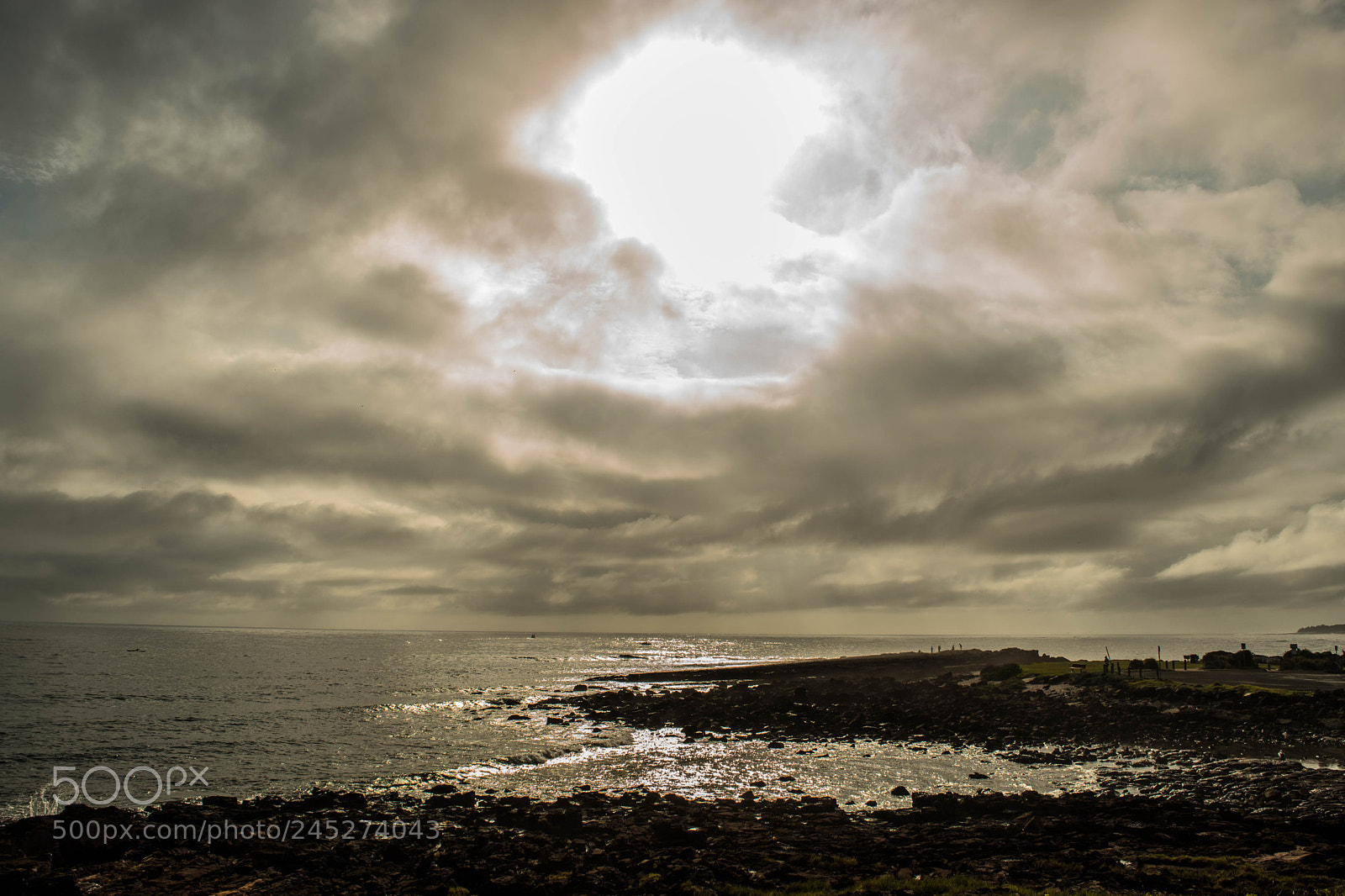 Nikon D5500 sample photo. Shellharbour sunrise photography
