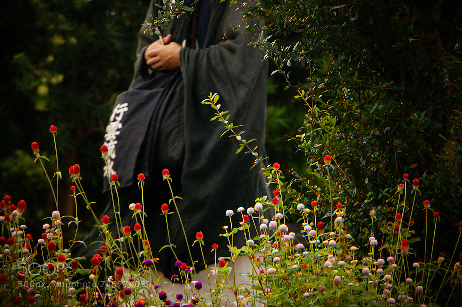 Sony Alpha NEX-6 sample photo. Mendicants photography