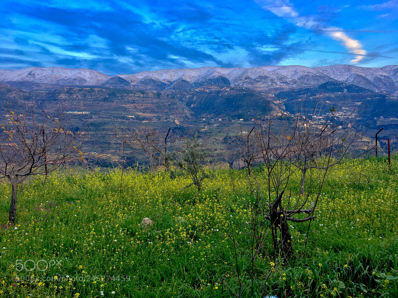 Apple iPhone 6s Plus sample photo. Baykoun mont-lebanon photography