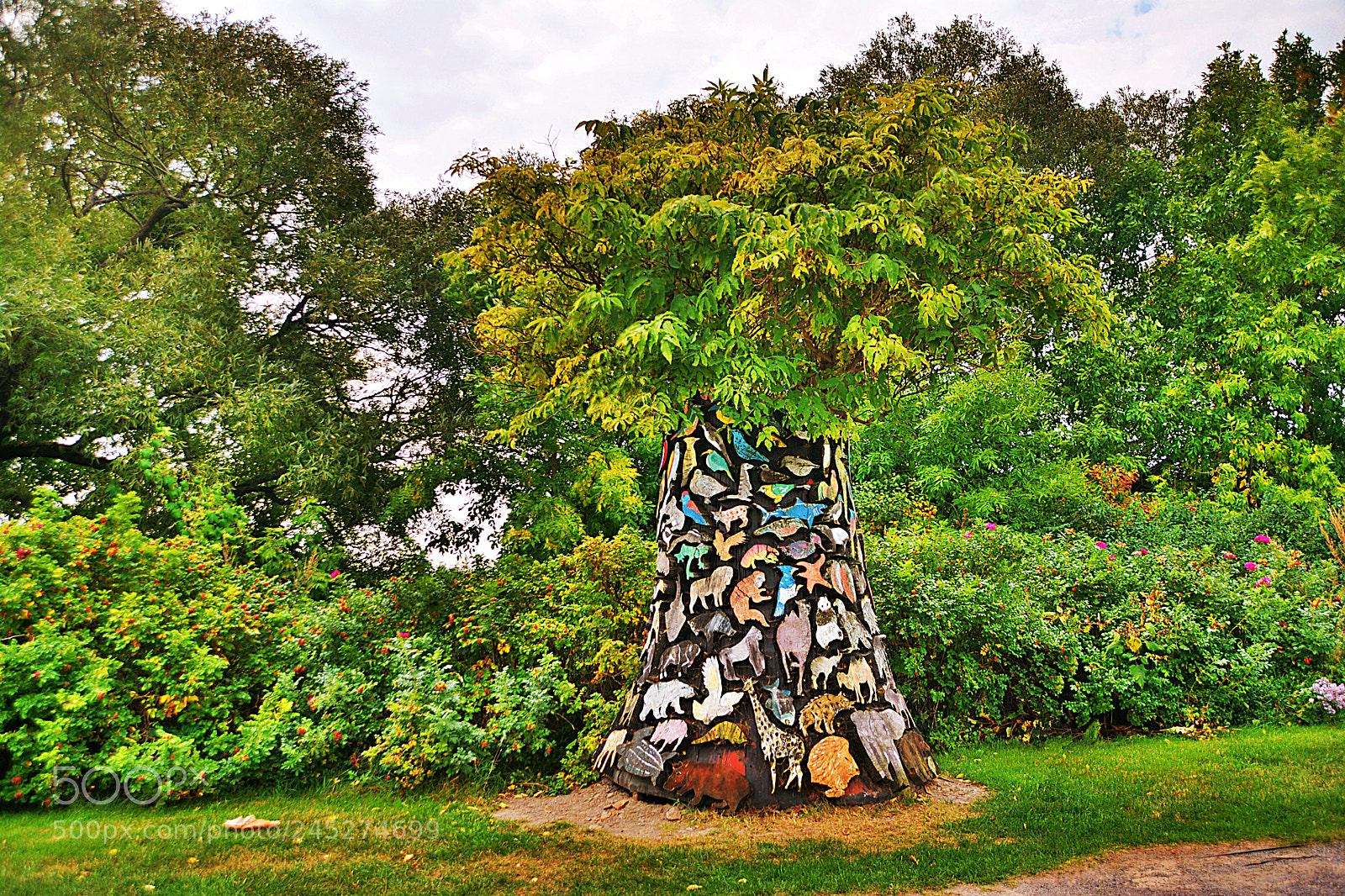 Nikon D7100 sample photo. L’arbre photography