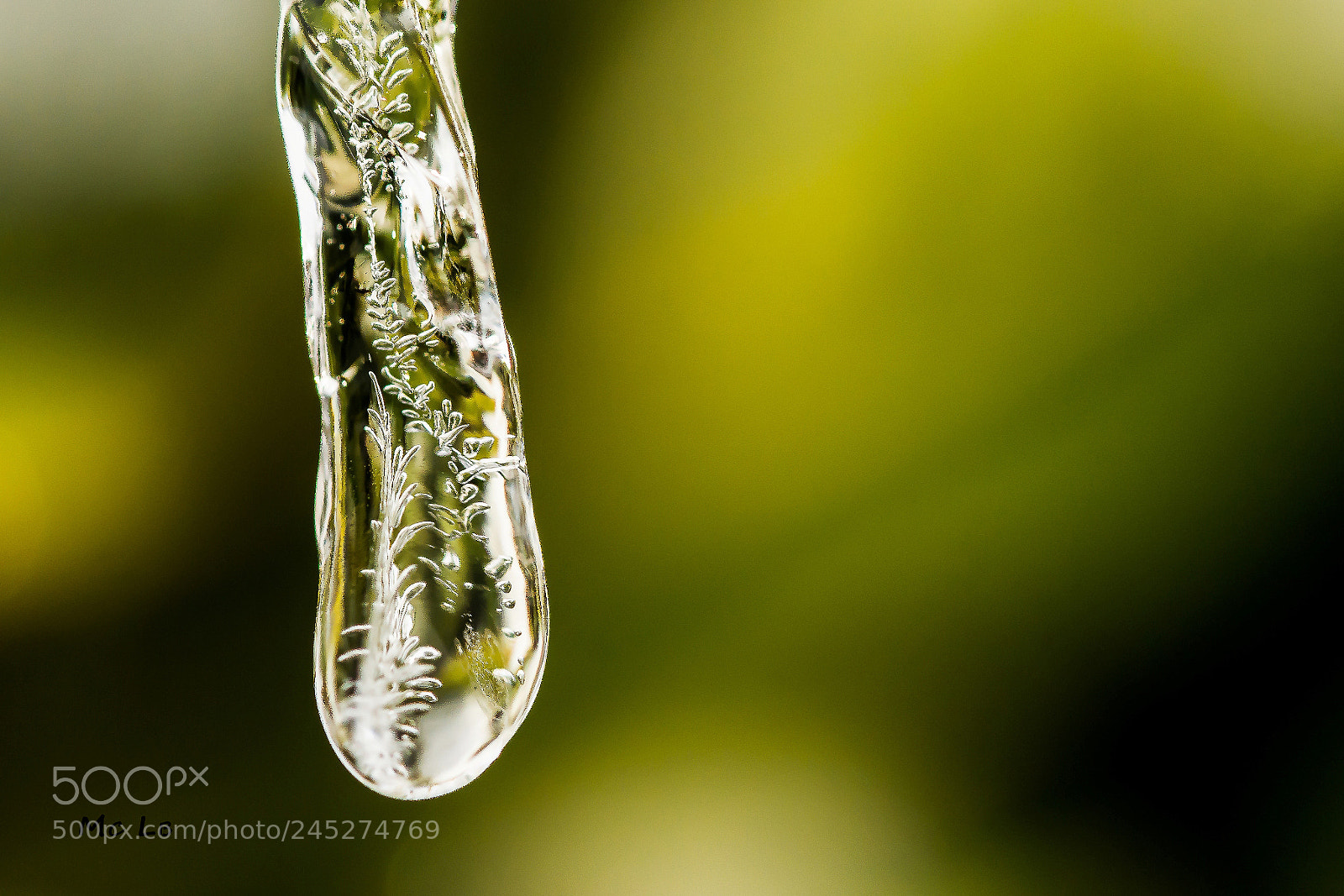 Nikon D7100 sample photo. Ice tear photography