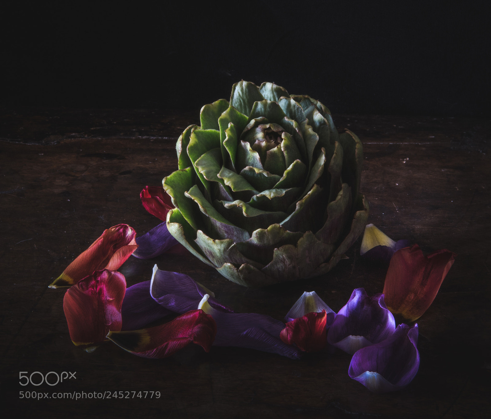 Sony a7R sample photo. Carciofo e petali photography