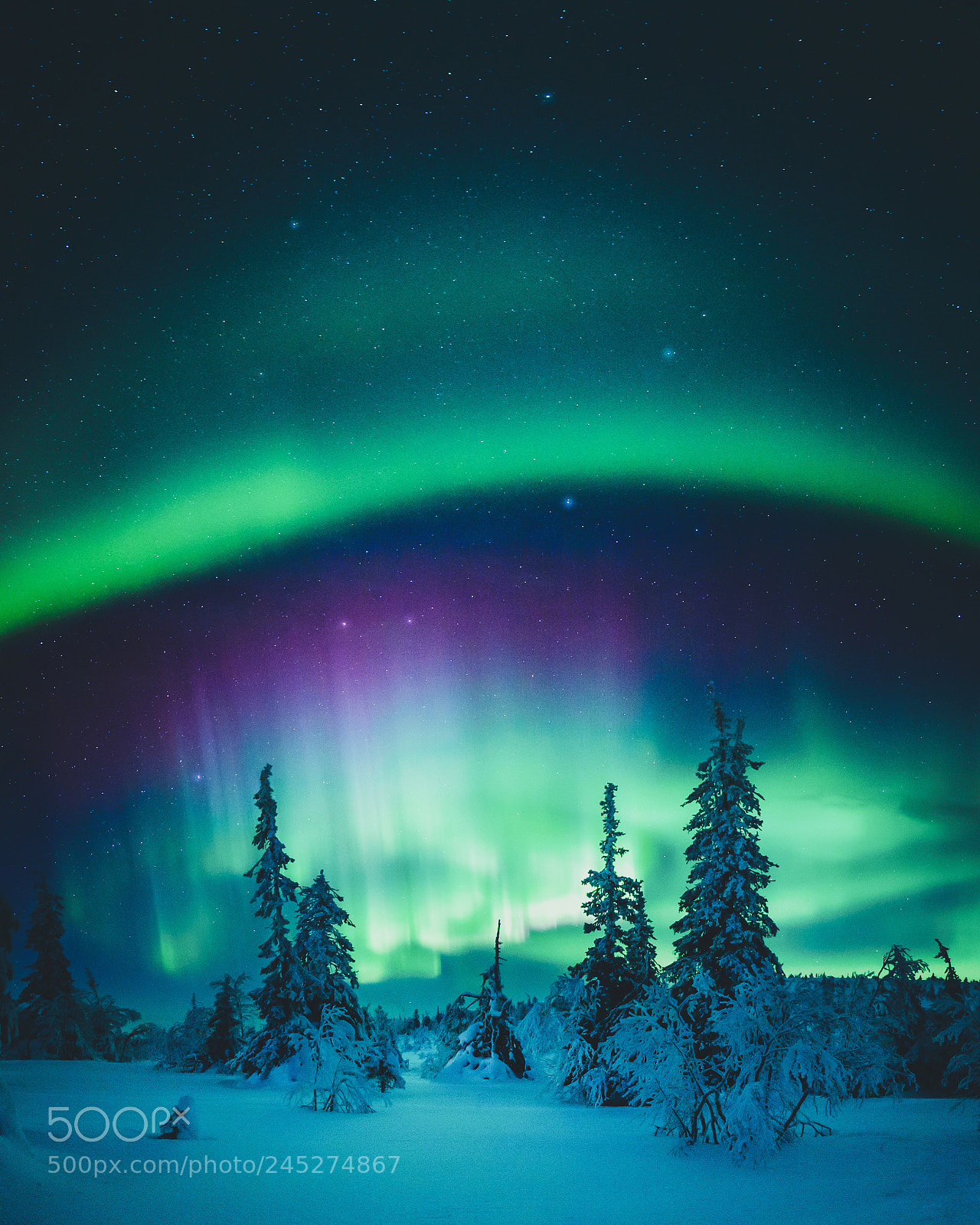 Nikon D800 sample photo. Magical lapland photography