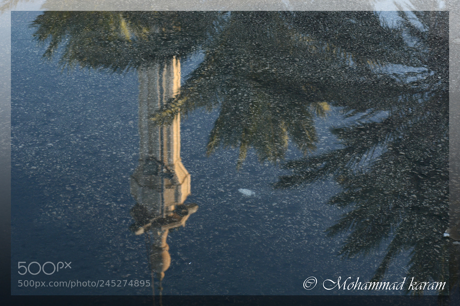Nikon D7100 sample photo. In reflection photography