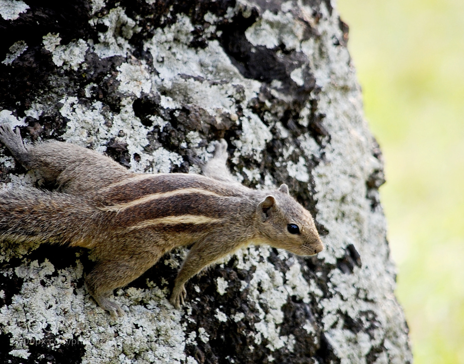 Nikon D40 sample photo. Untitled photography