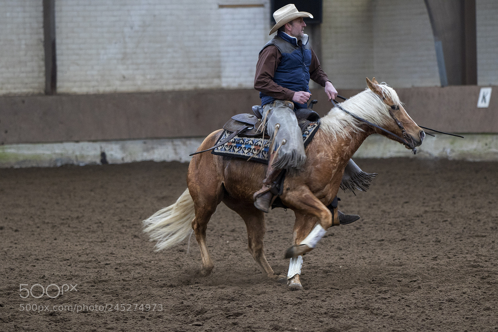 Canon EOS 7D Mark II sample photo. Western riding photography
