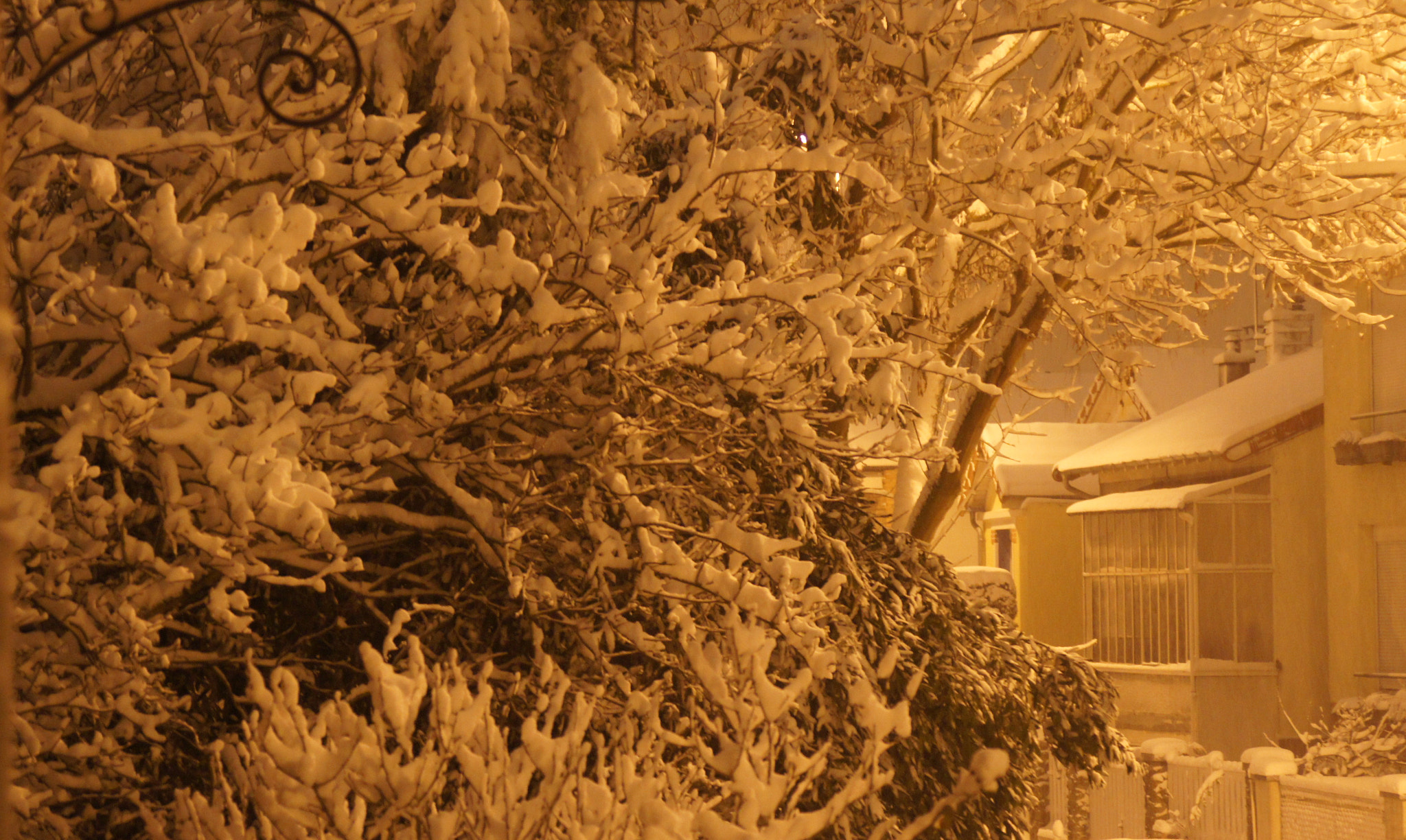 Sony Alpha DSLR-A450 sample photo. Paris blizzard.. photography