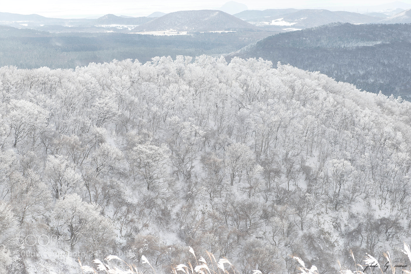 Nikon D800 sample photo. White peak photography