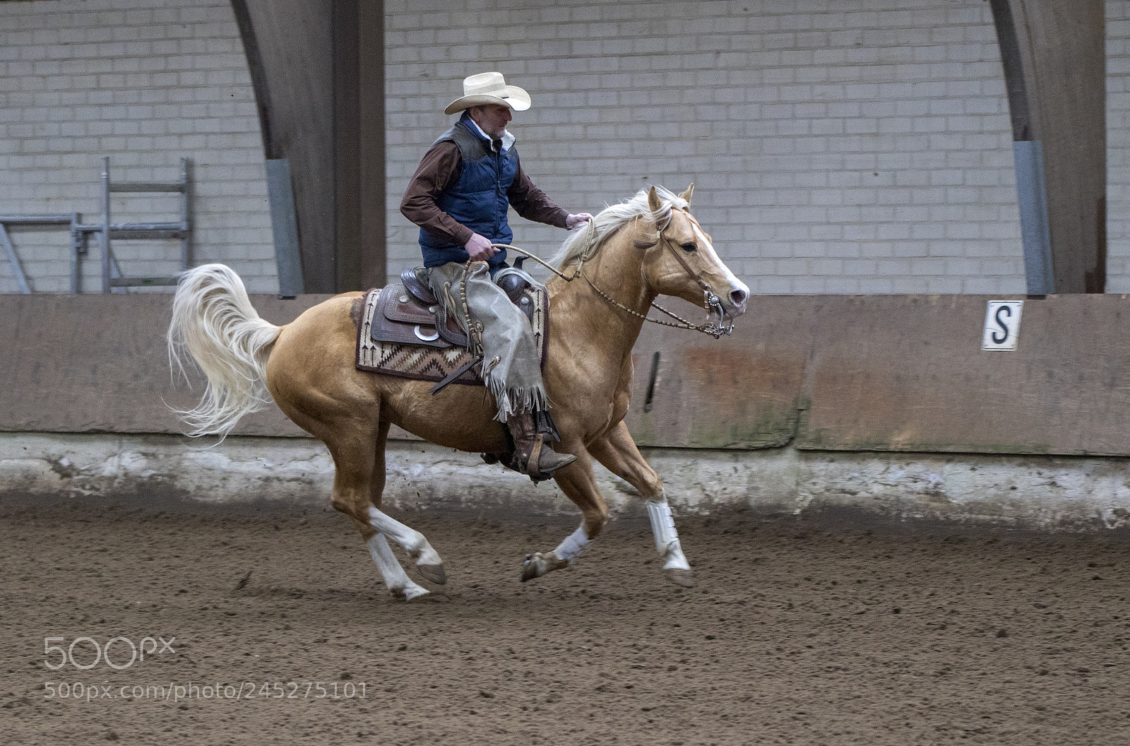 Canon EOS 7D Mark II sample photo. Western riding photography