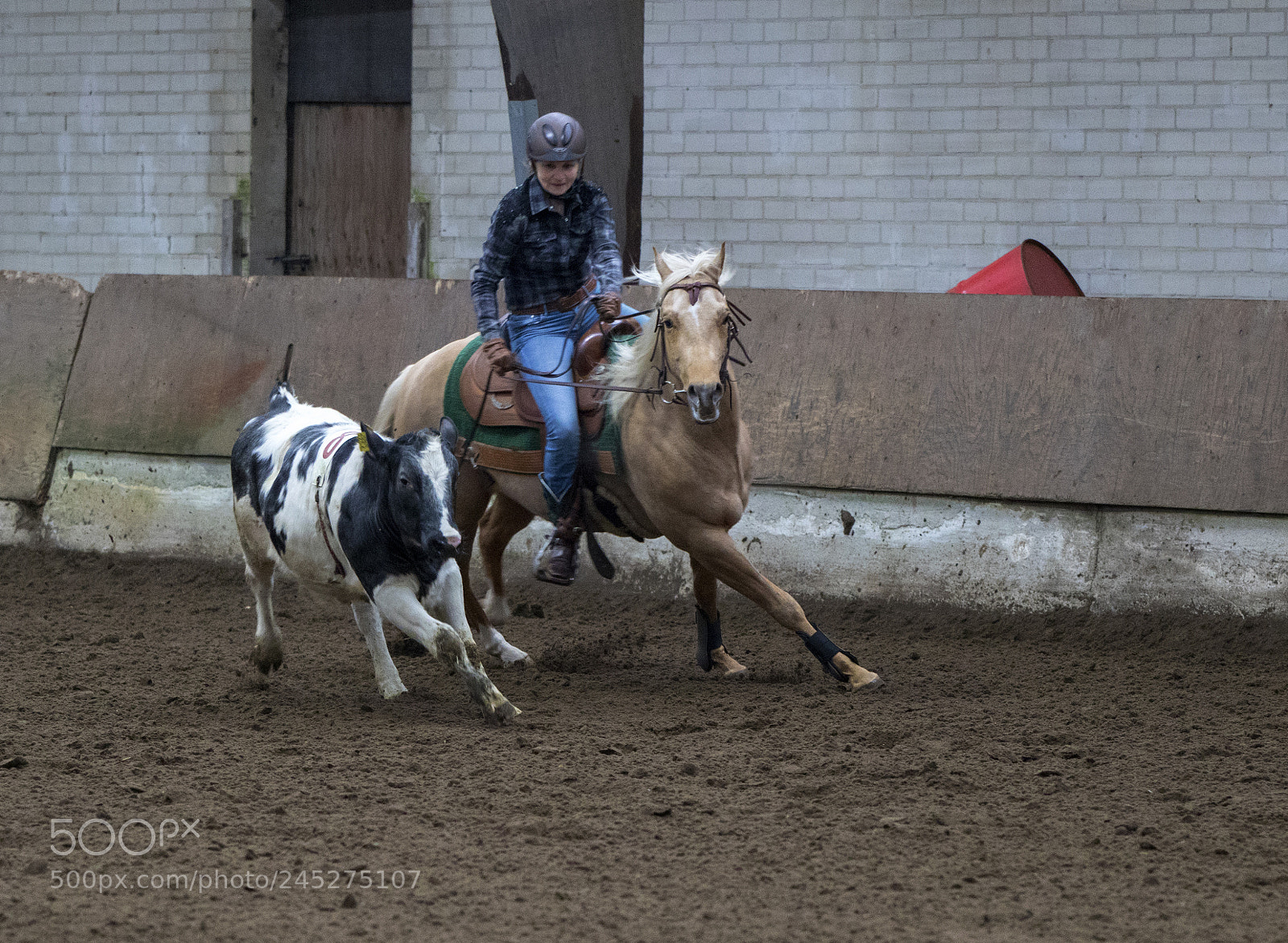 Canon EOS 7D Mark II sample photo. Western riding photography