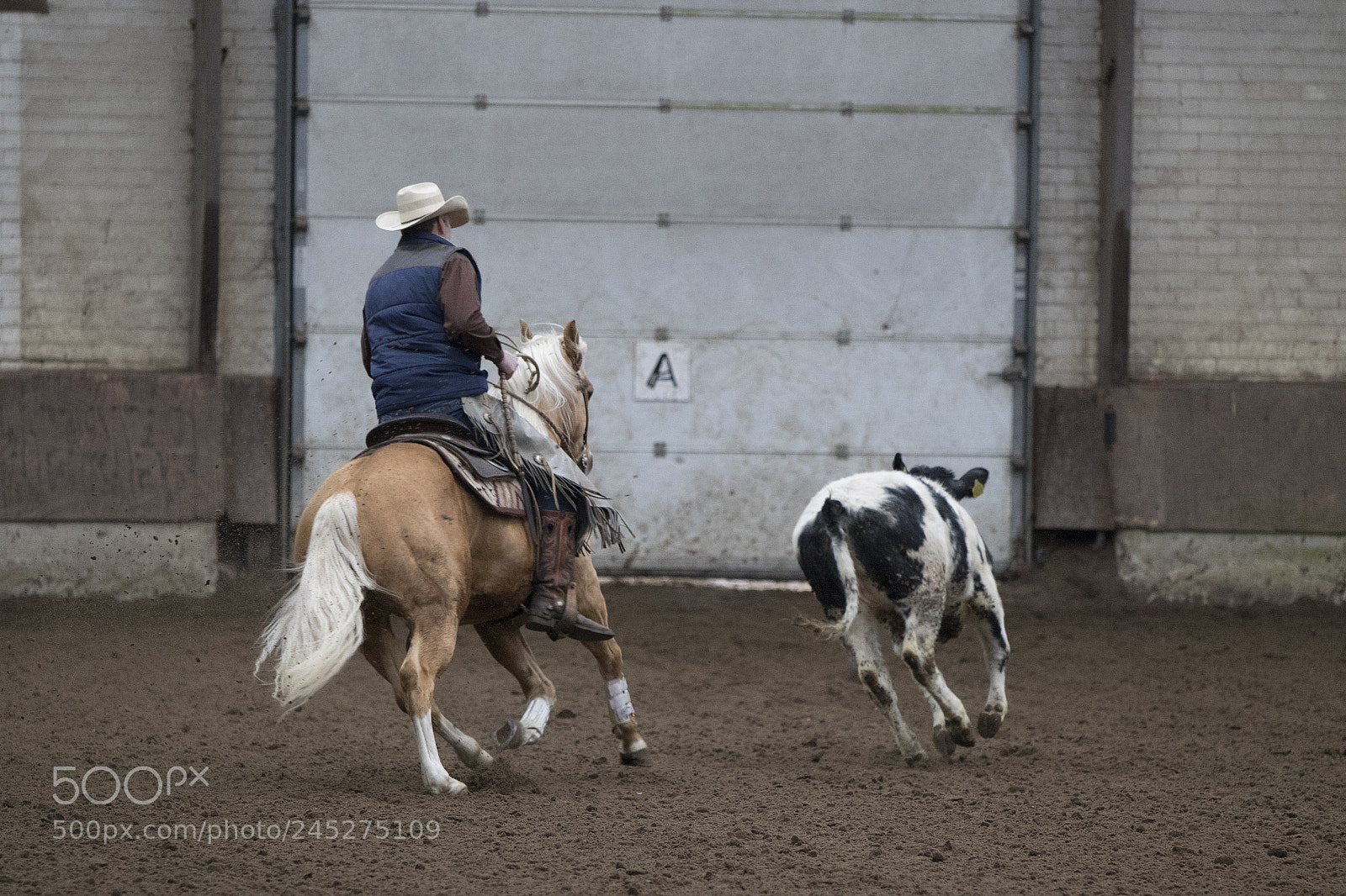 Canon EOS 7D Mark II sample photo. Western riding photography