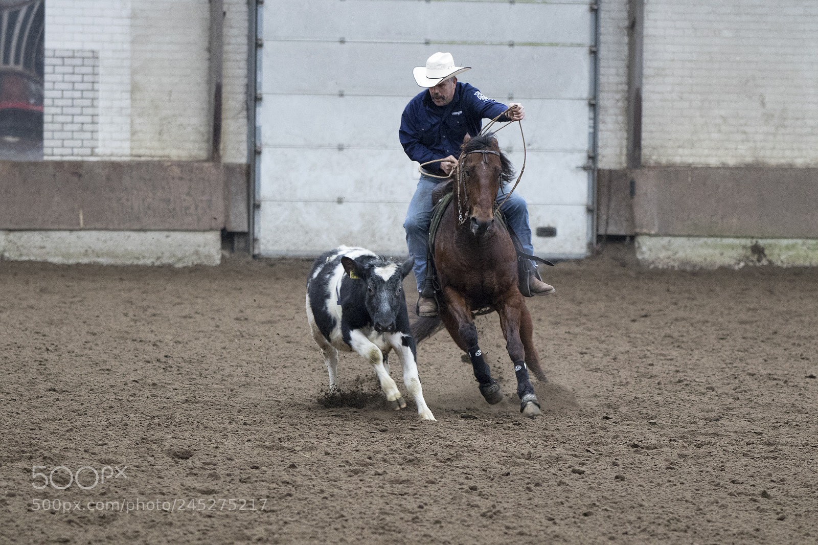 Canon EOS 7D Mark II sample photo. Western riding photography