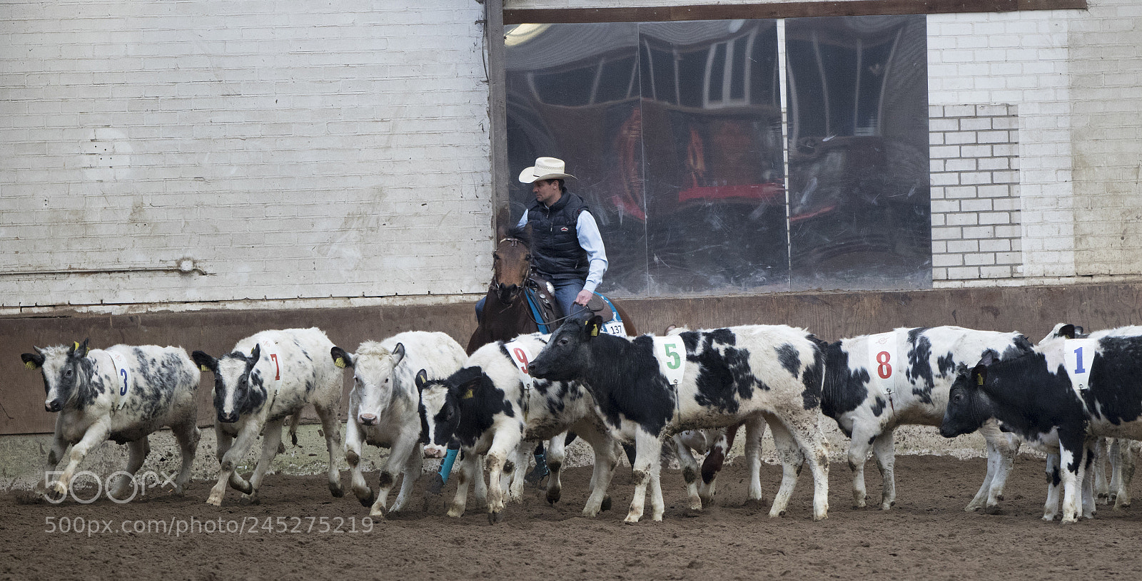 Canon EOS 7D Mark II sample photo. Western riding photography