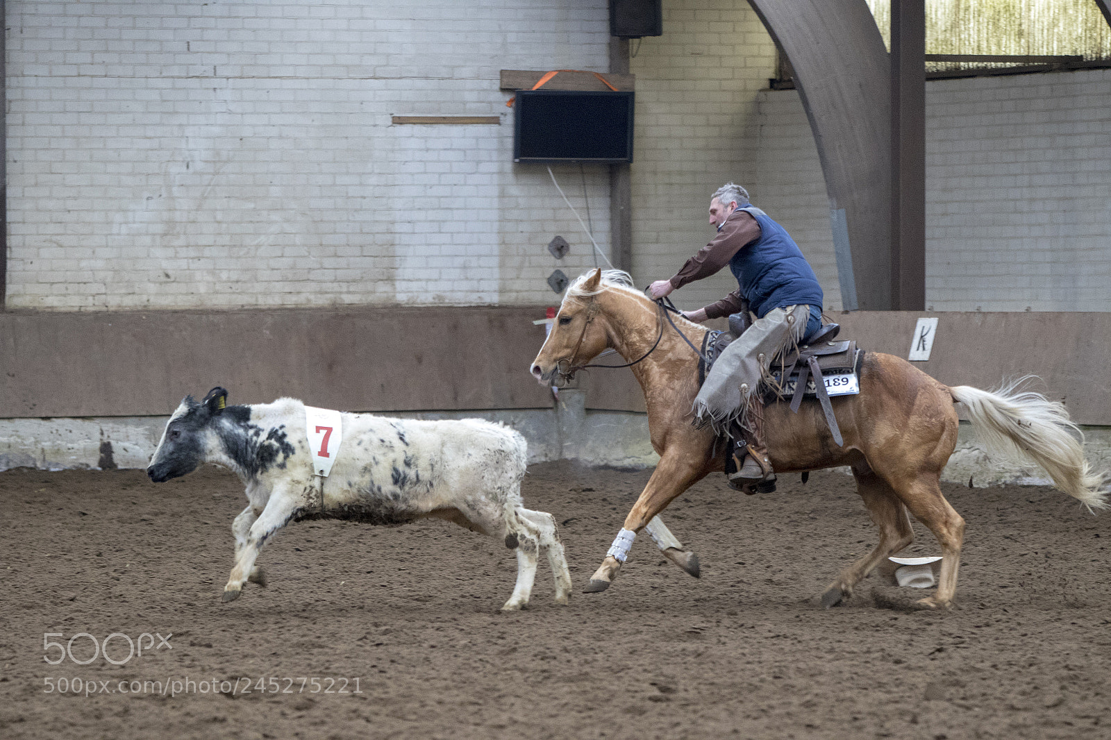 Canon EOS 7D Mark II sample photo. Western riding photography
