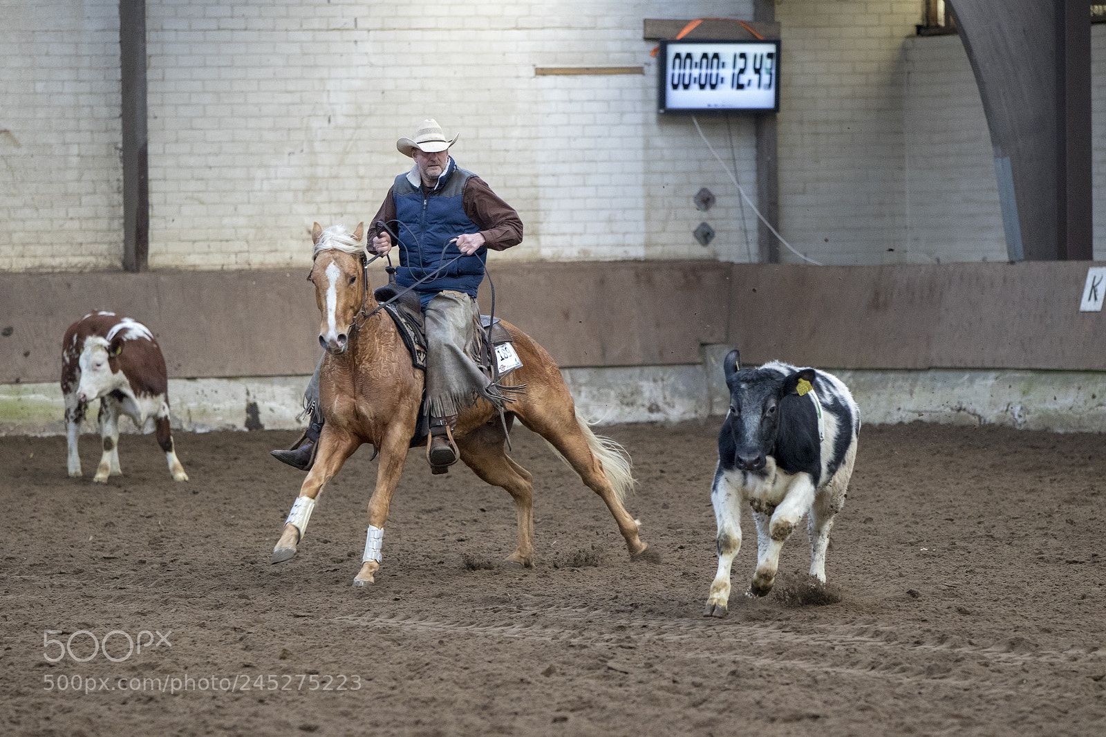 Canon EOS 7D Mark II sample photo. Western riding photography