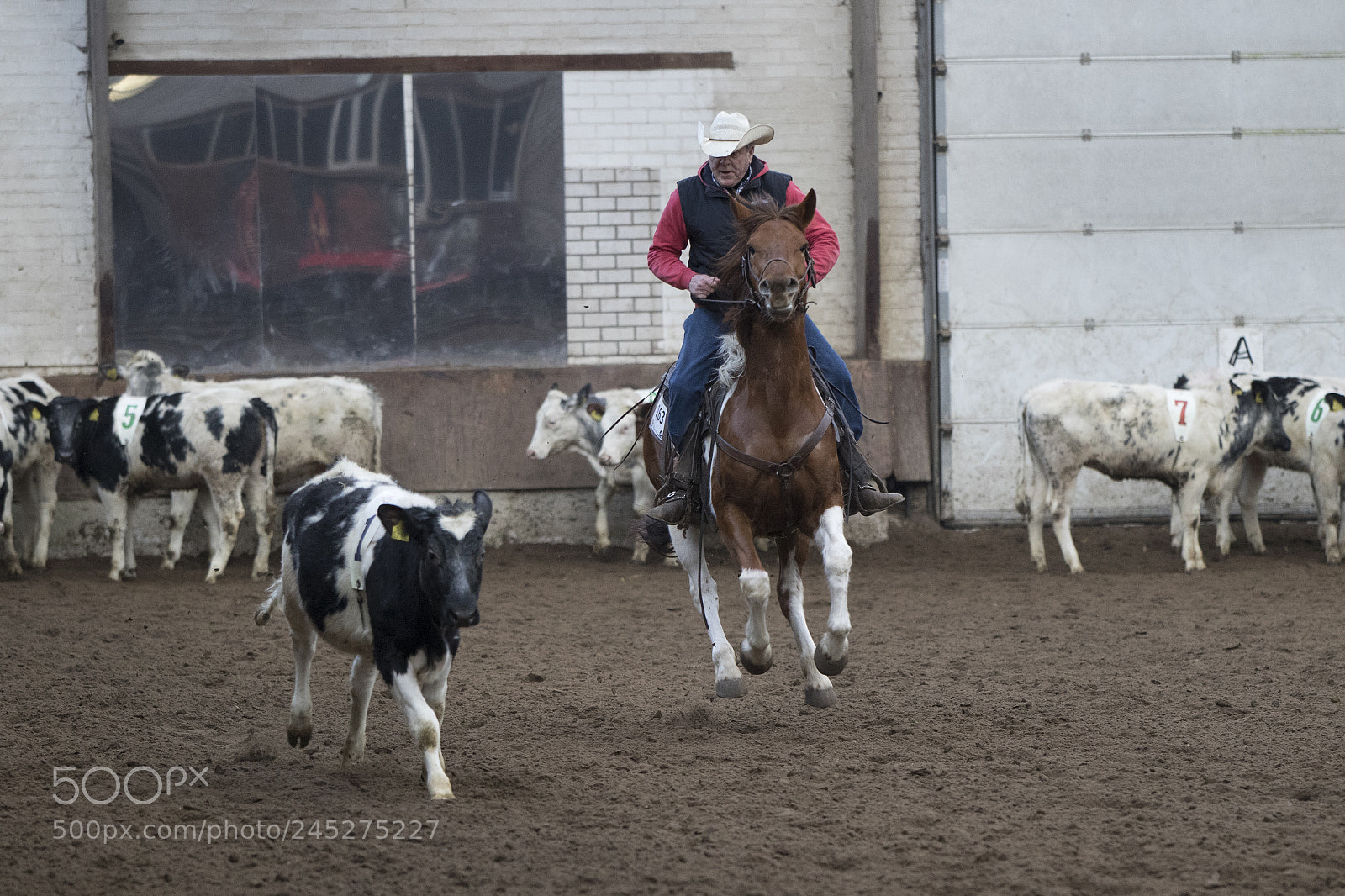 Canon EOS 7D Mark II sample photo. Western riding photography