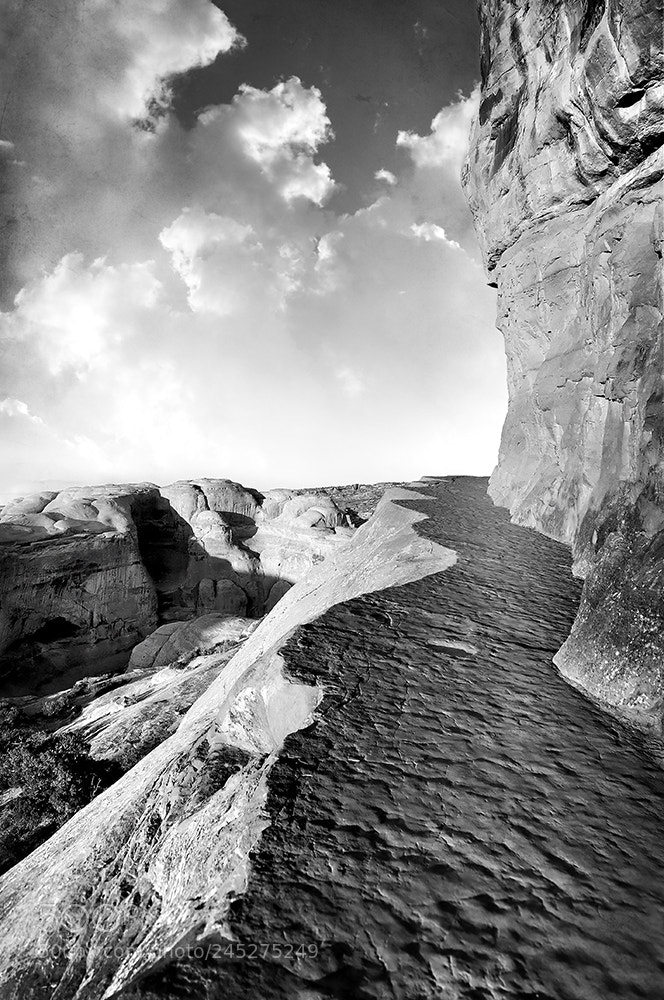 Nikon D300 sample photo. « ... walk of life ... » photography