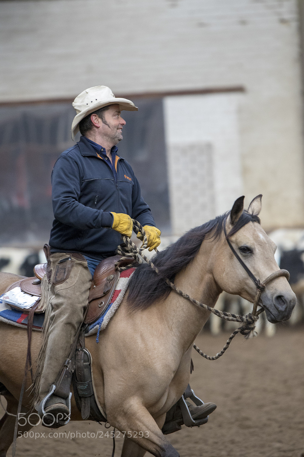 Canon EOS 7D Mark II sample photo. Western riding photography