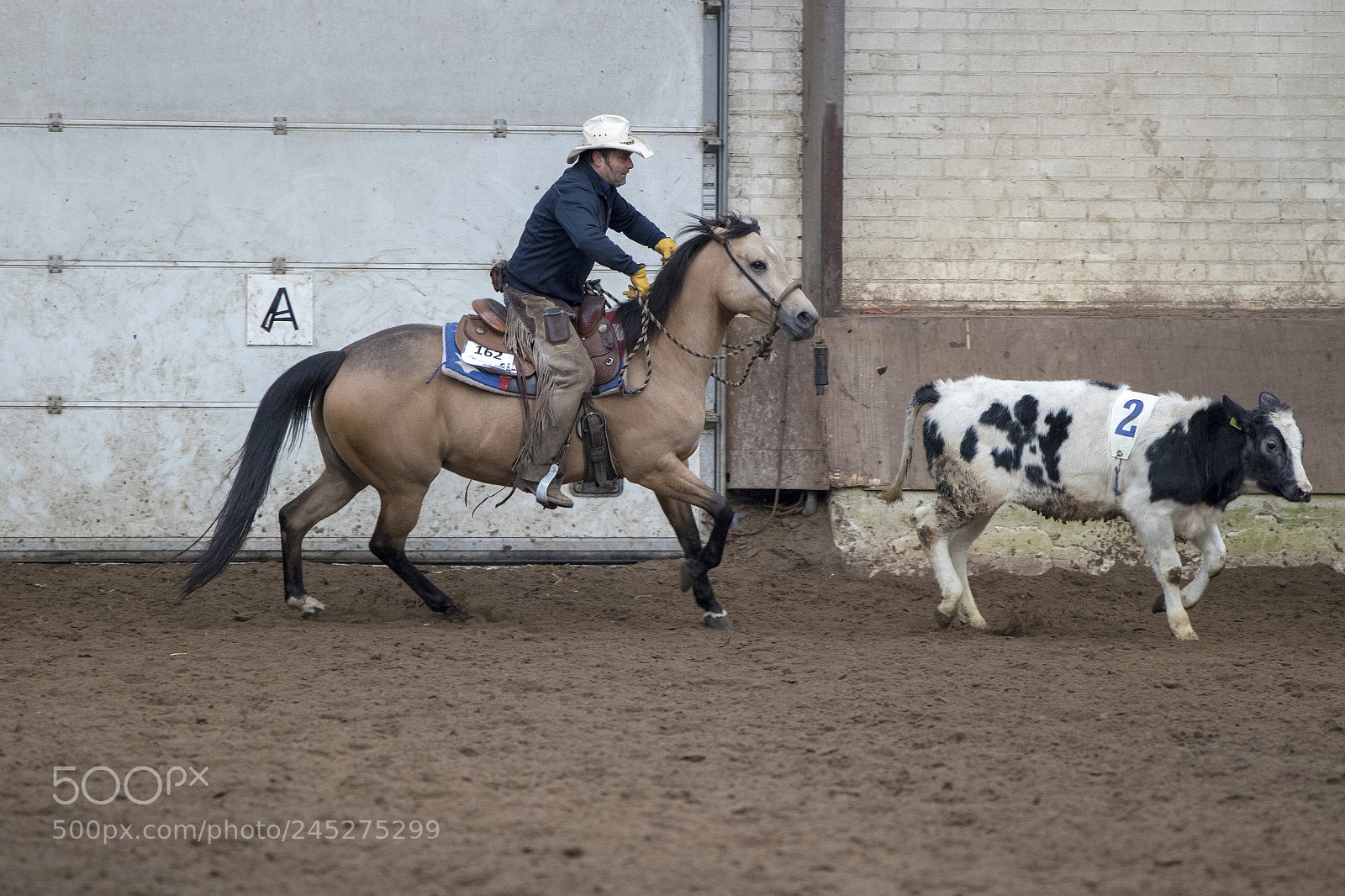 Canon EOS 7D Mark II sample photo. Western riding photography