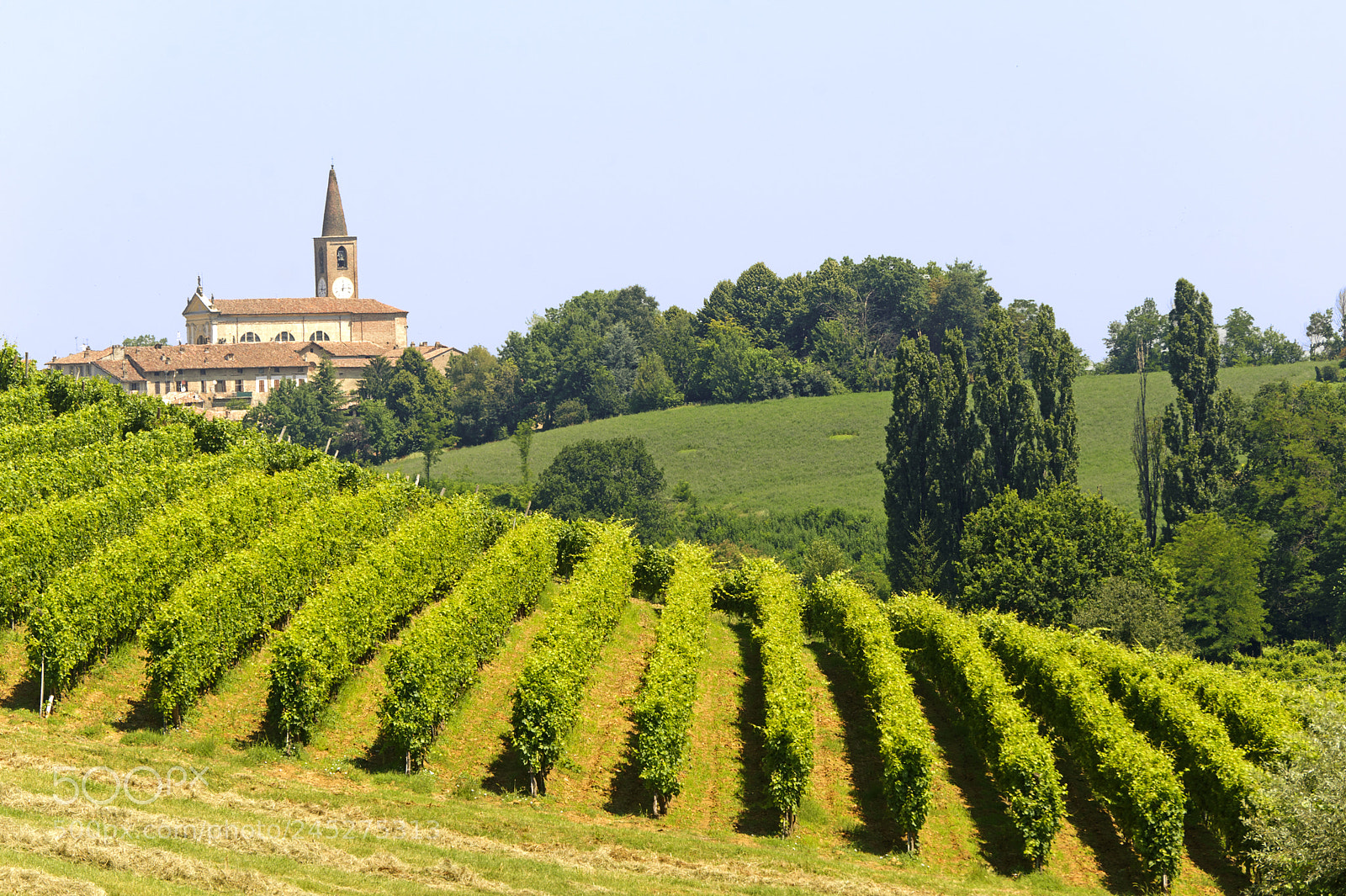 Nikon D700 sample photo. Landscape in the oltrepo photography