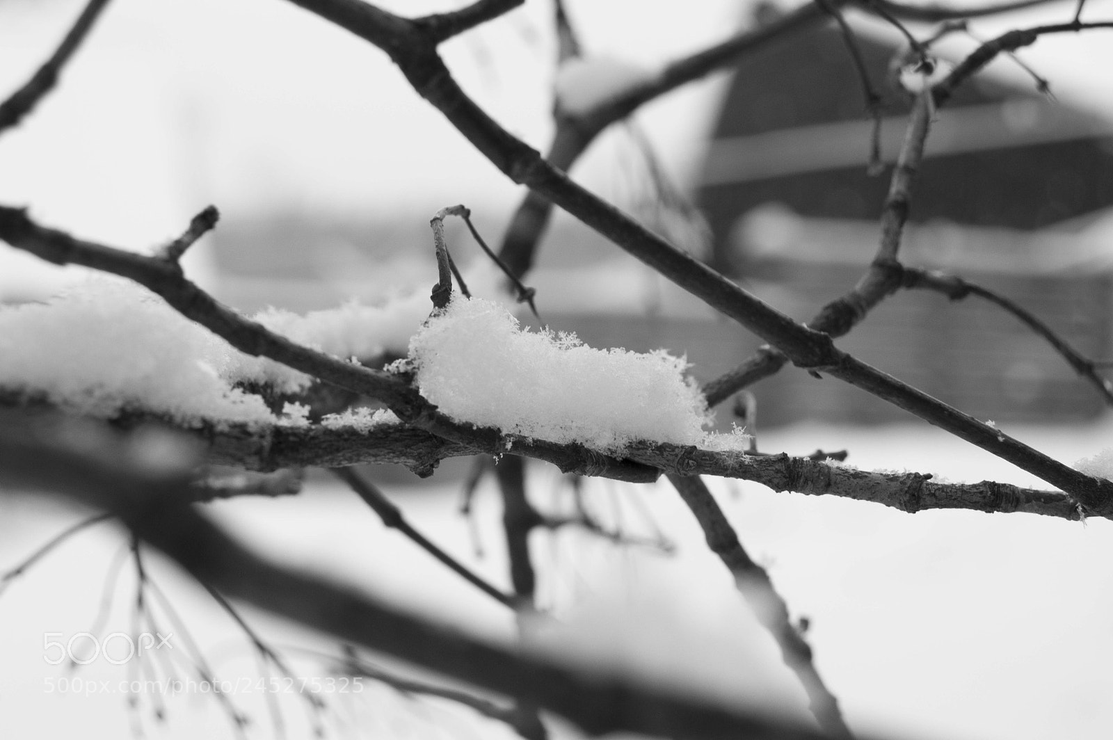 Nikon D3200 sample photo. Untitled photography