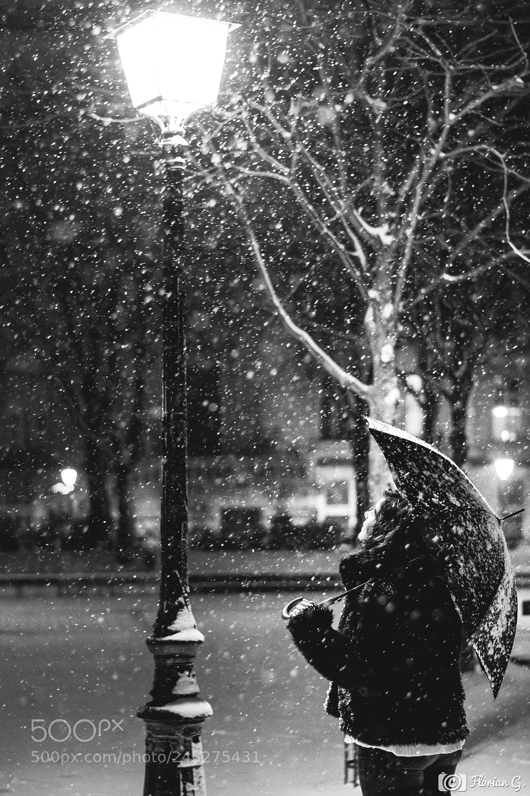 Nikon D500 sample photo. From paris with snow photography