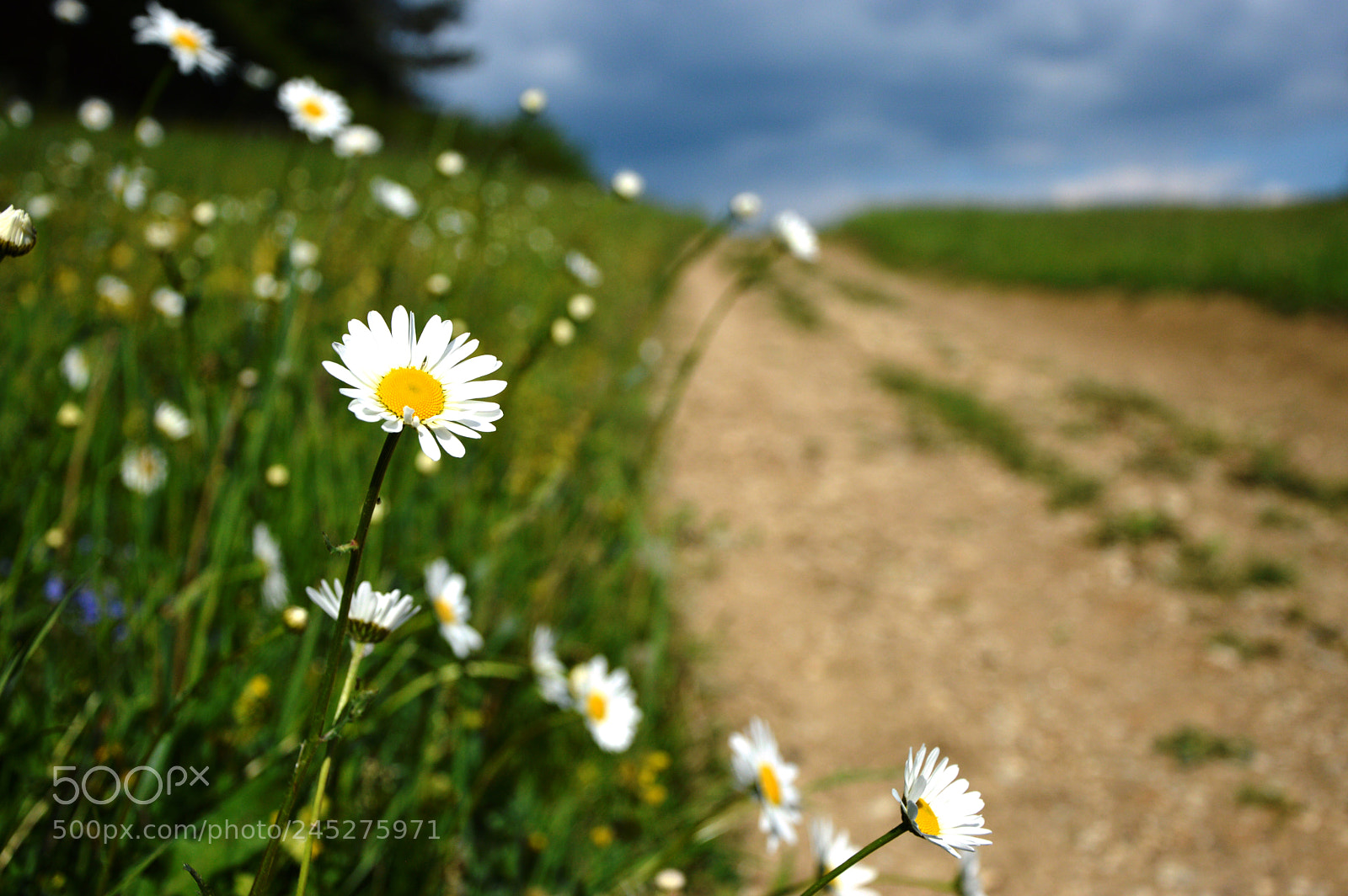 Nikon D3200 sample photo. May2 photography