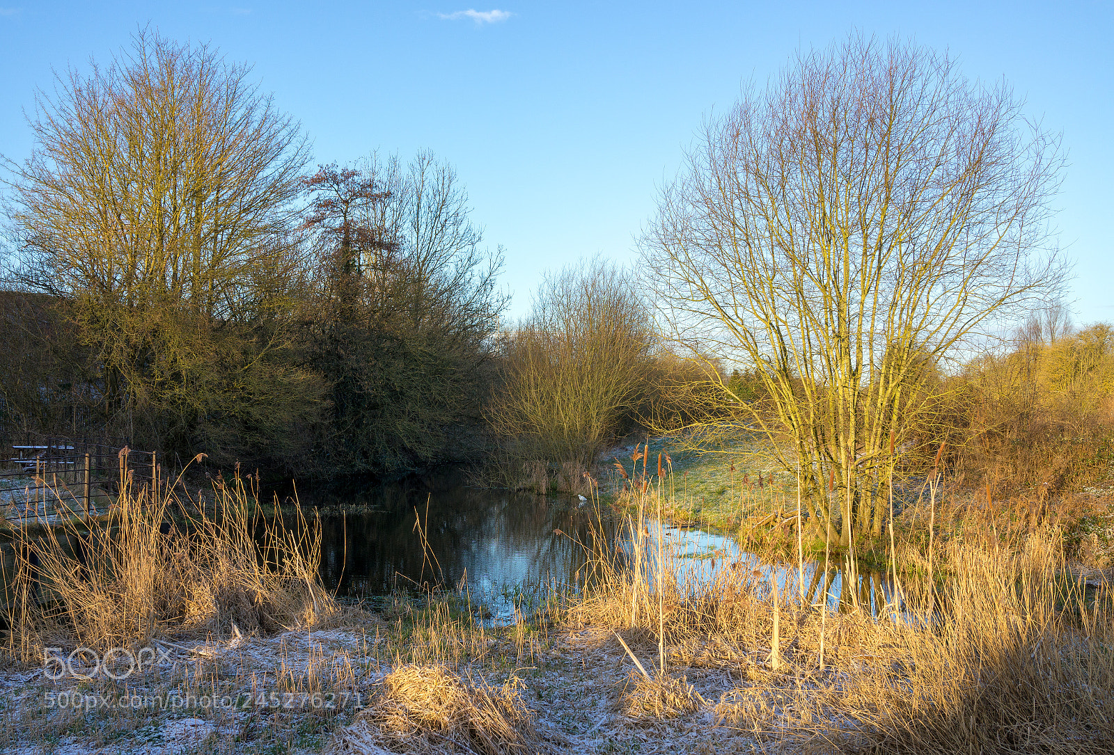 Sony Cyber-shot DSC-RX1 sample photo. Winters morning photography
