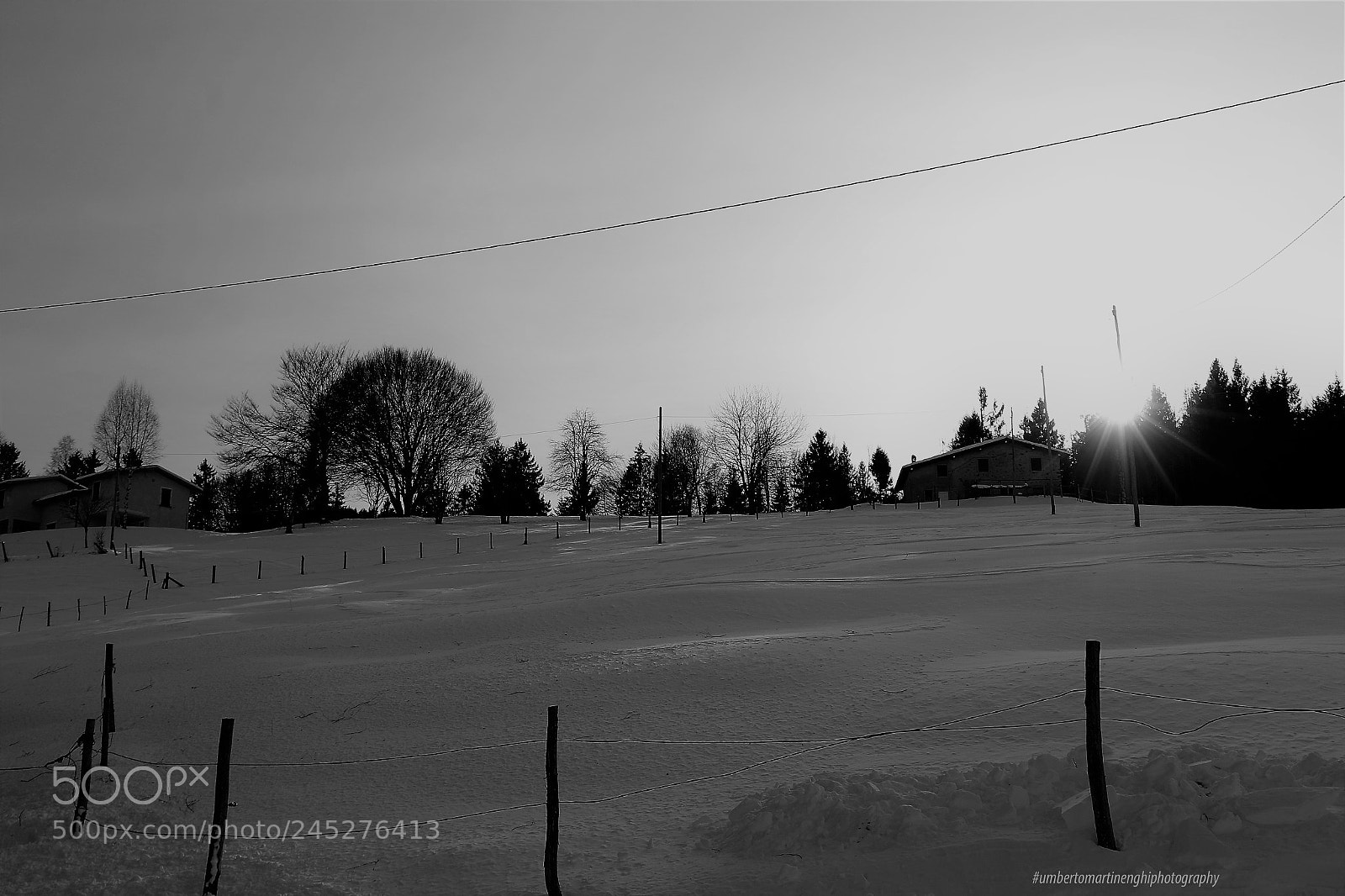 Canon EOS 7D Mark II sample photo. Walk in the snow photography