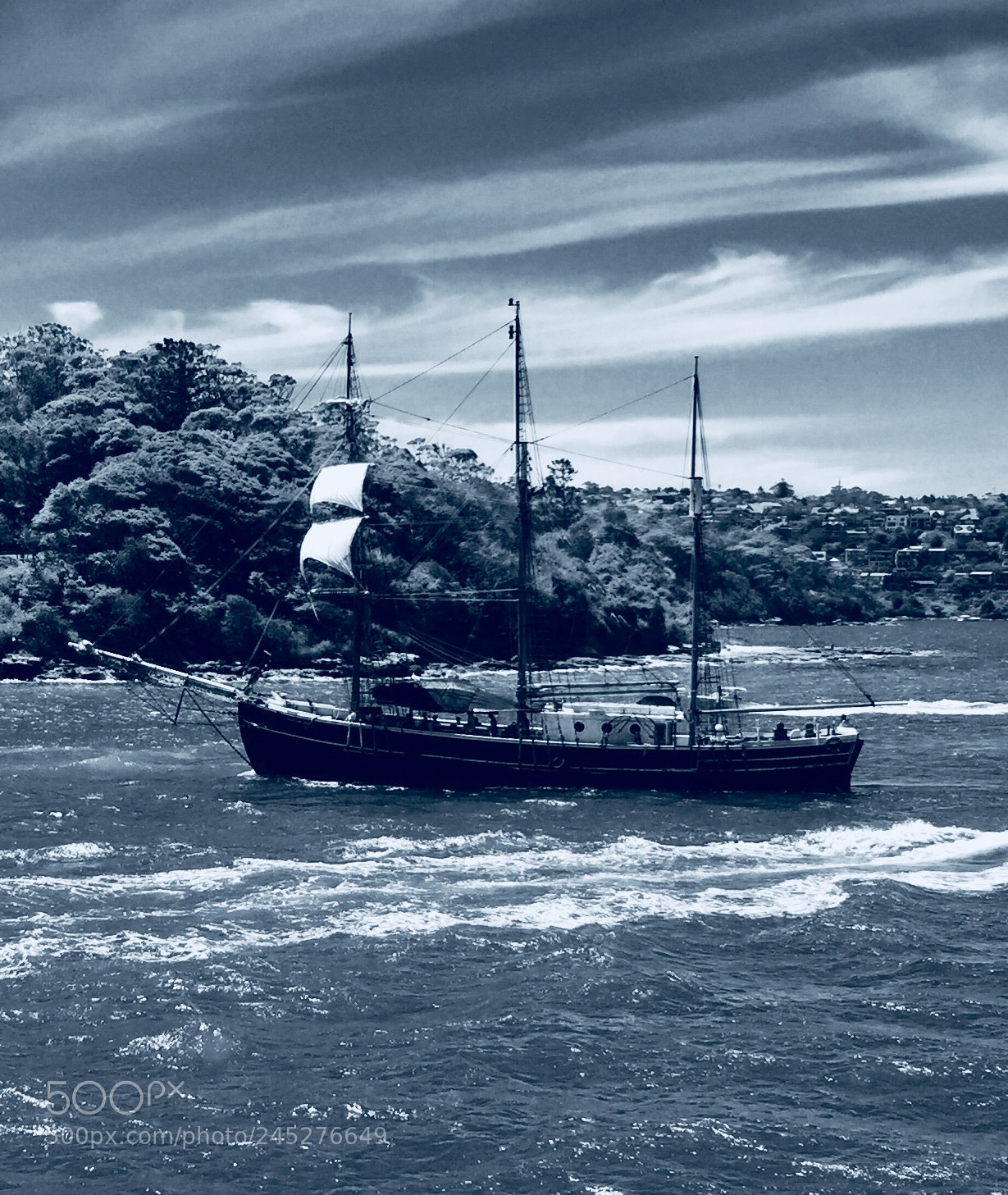 Apple iPhone 6 Plus sample photo. Port jackson bay, sydney photography