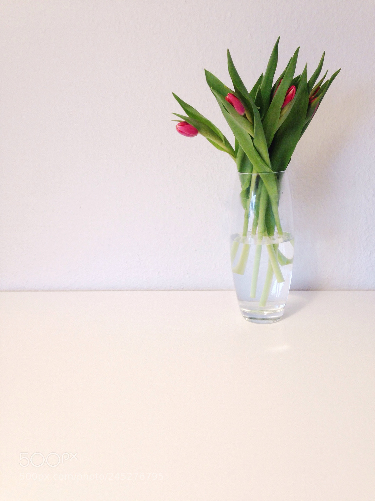 Apple iPhone 5c sample photo. Spring 2 photography