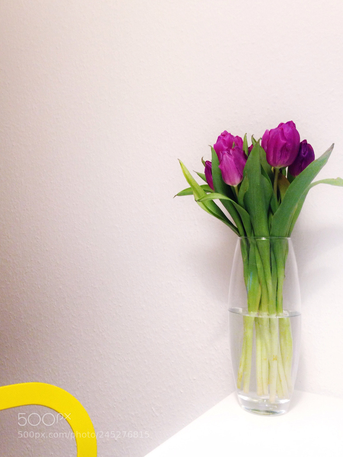 Apple iPhone 5c sample photo. Spring1 photography