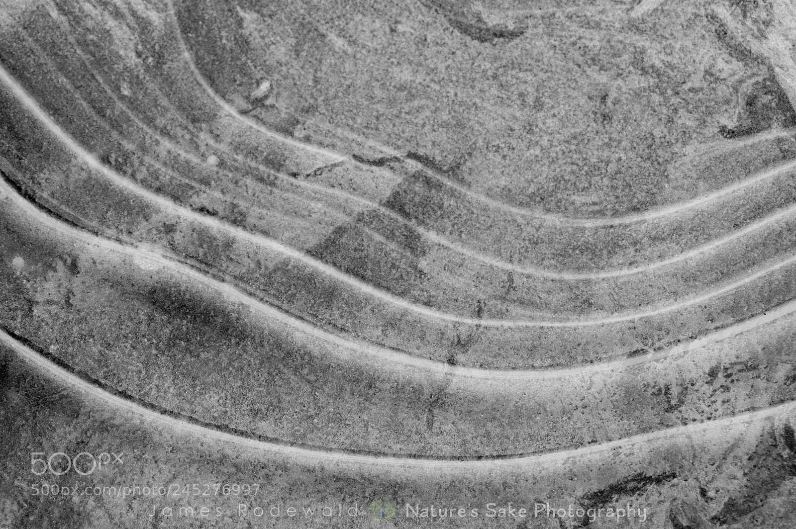 Nikon D3200 sample photo. Winter designs, v1 photography