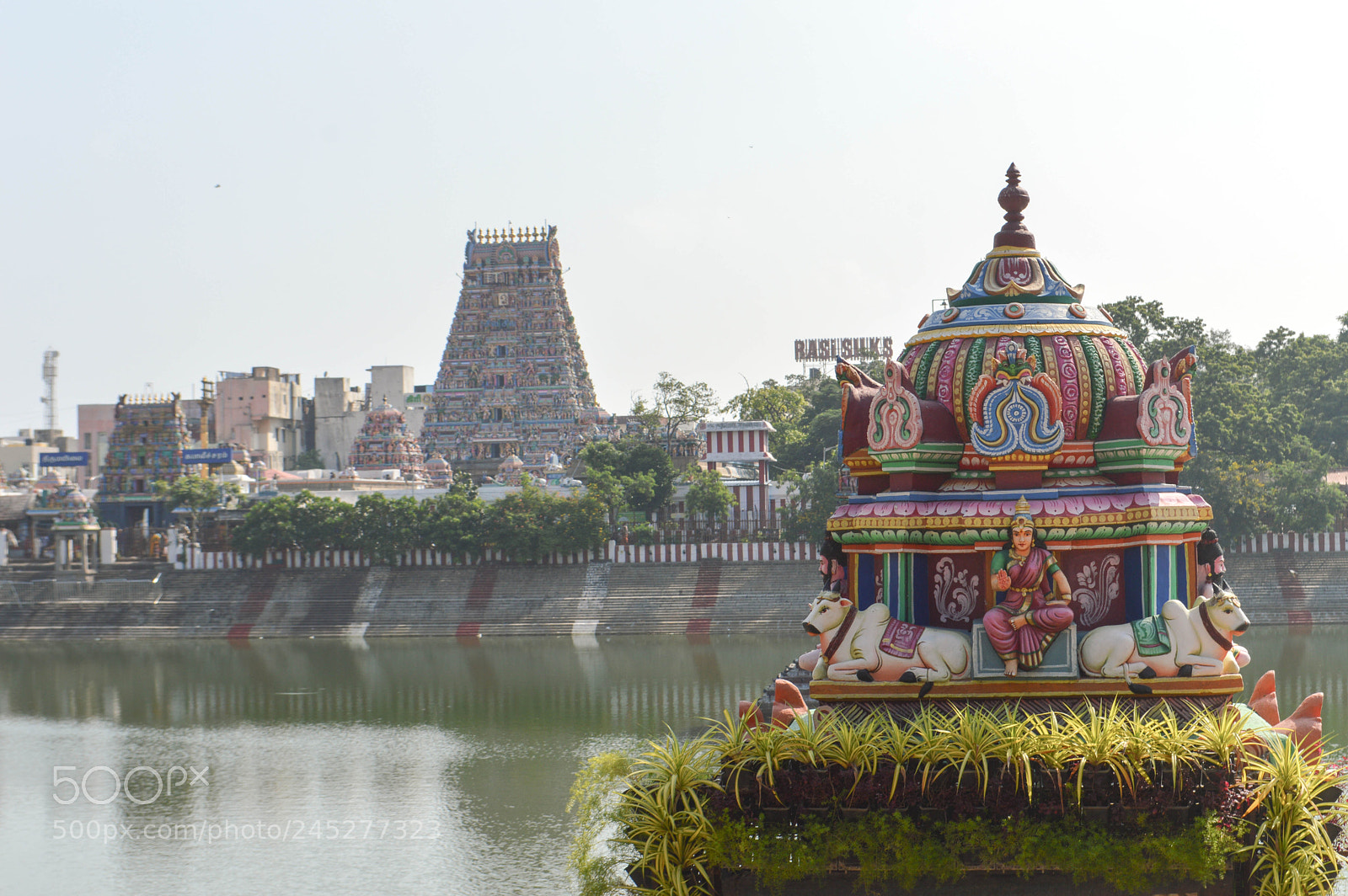 Nikon D3200 sample photo. Kalaweeswarar temple tank photography