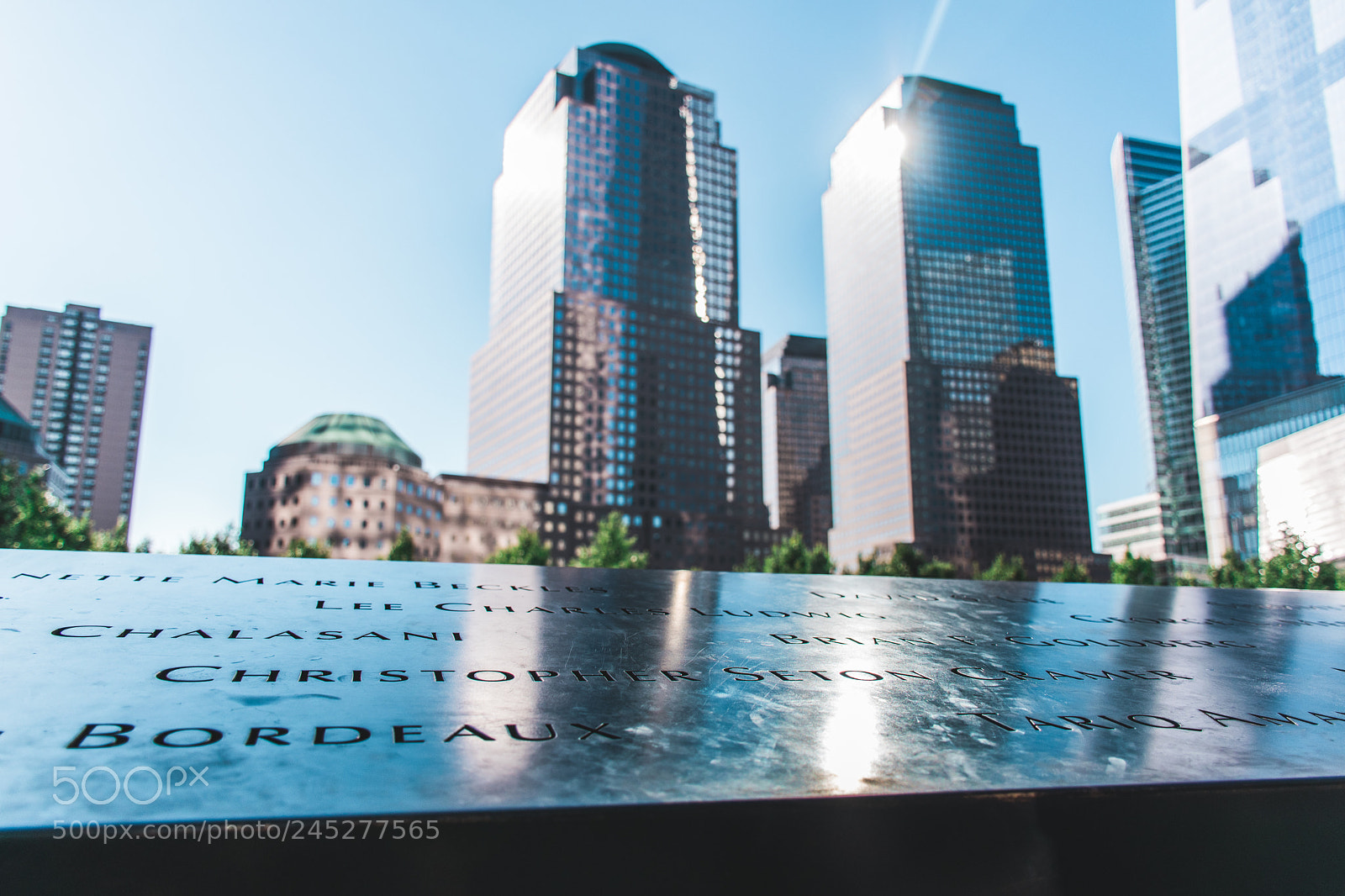 Nikon D5500 sample photo. Ground zero photography