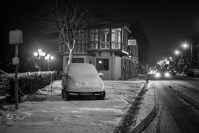 Sony SLT-A99V sample photo. Wepion sous la neige photography