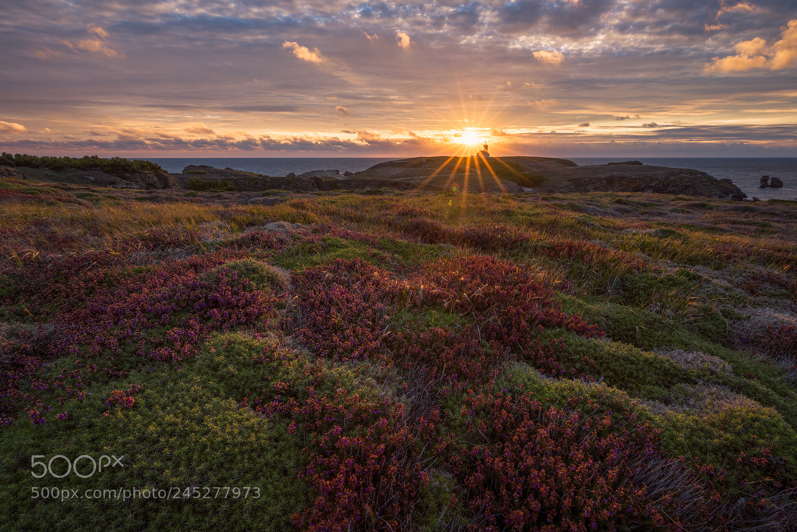 Nikon D810 sample photo. Golden light photography