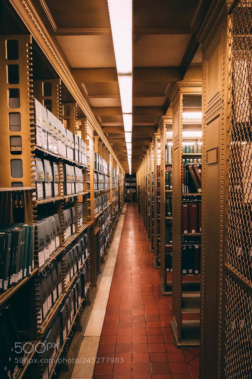 Nikon D5500 sample photo. New york public library photography
