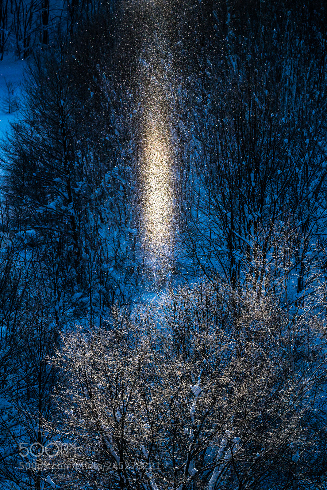 Sony a9 sample photo. Morning of light falling photography