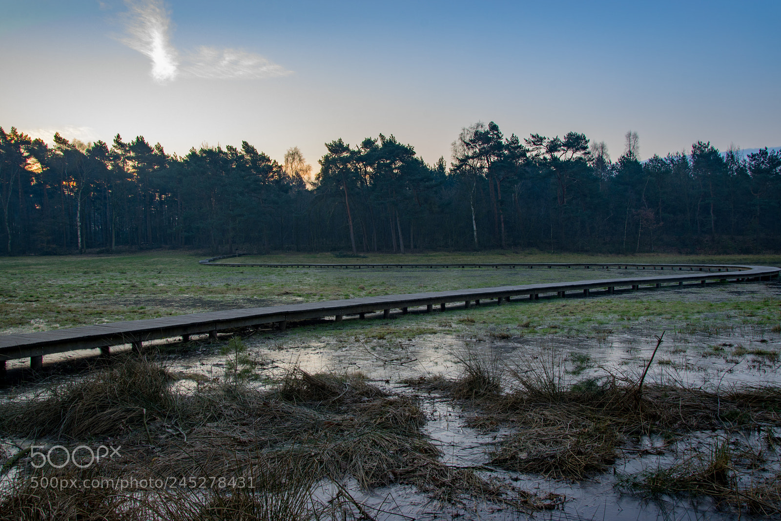 Nikon D5600 sample photo. Sunrise walk photography