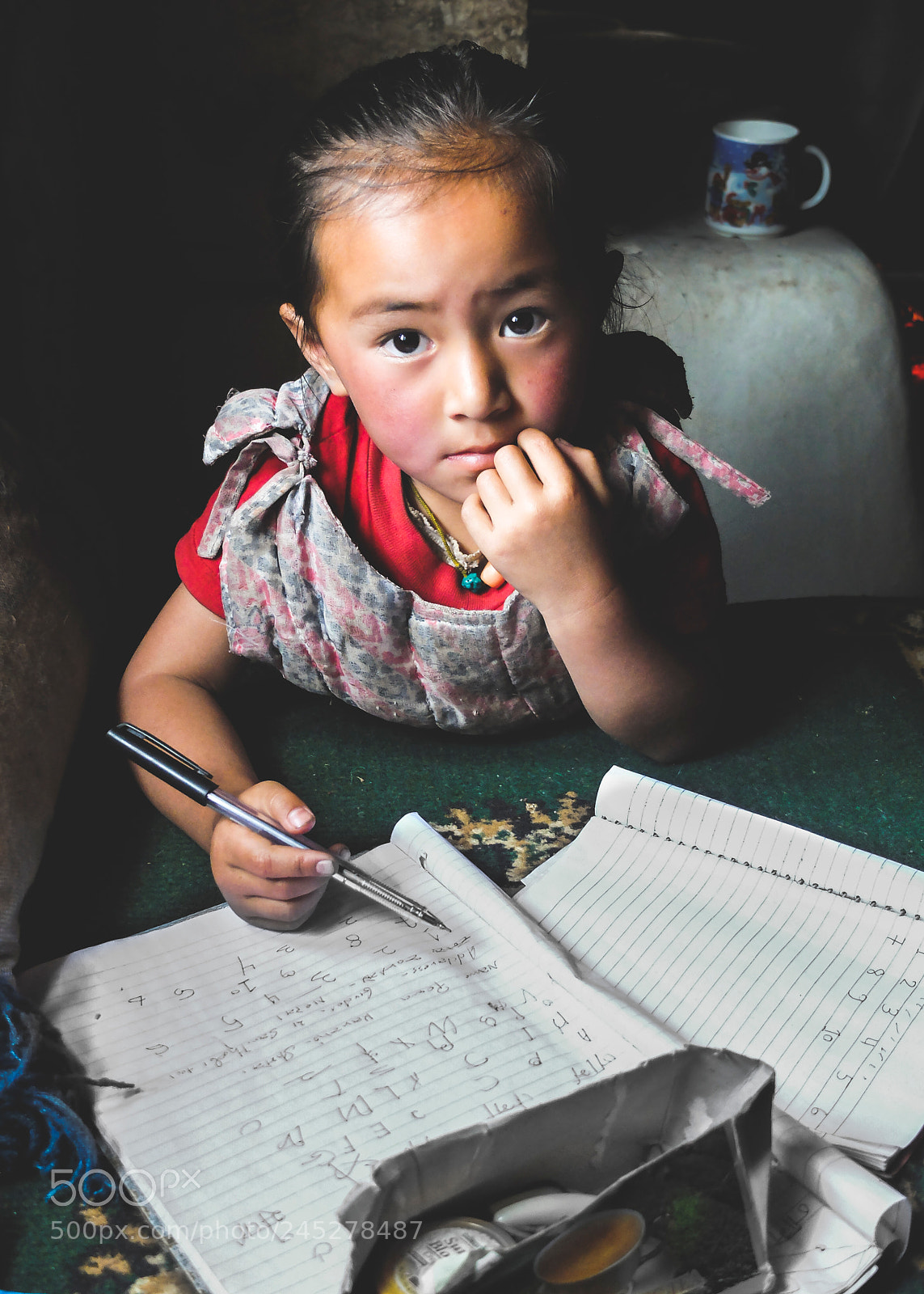 Fujifilm X20 sample photo. School or field photography