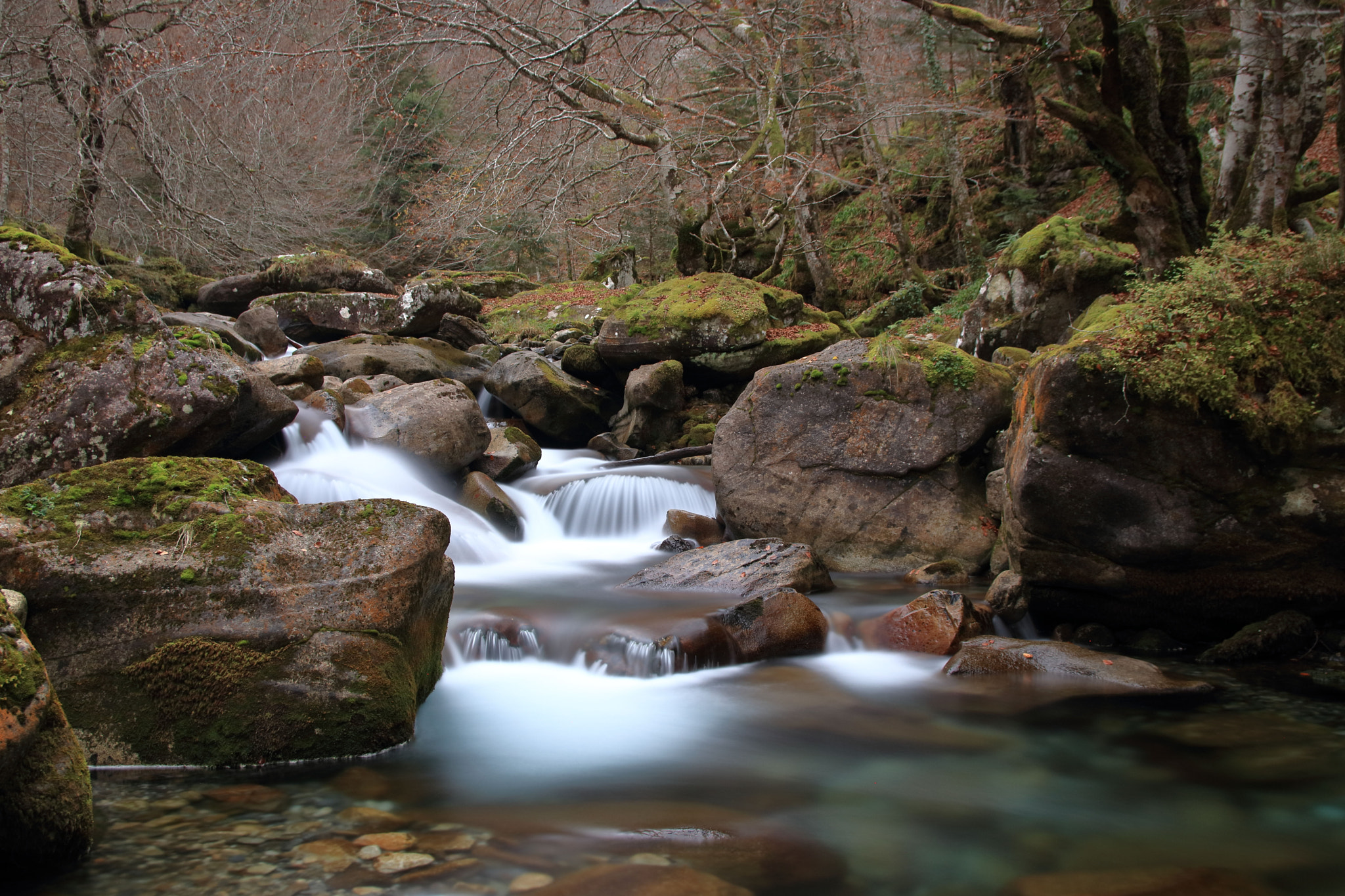 Canon EF-S 17-55mm F2.8 IS USM sample photo. Le riberot photography