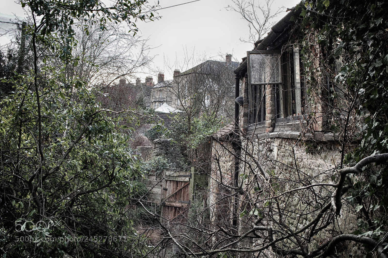 Olympus OM-D E-M5 sample photo. Cottage by a brook photography
