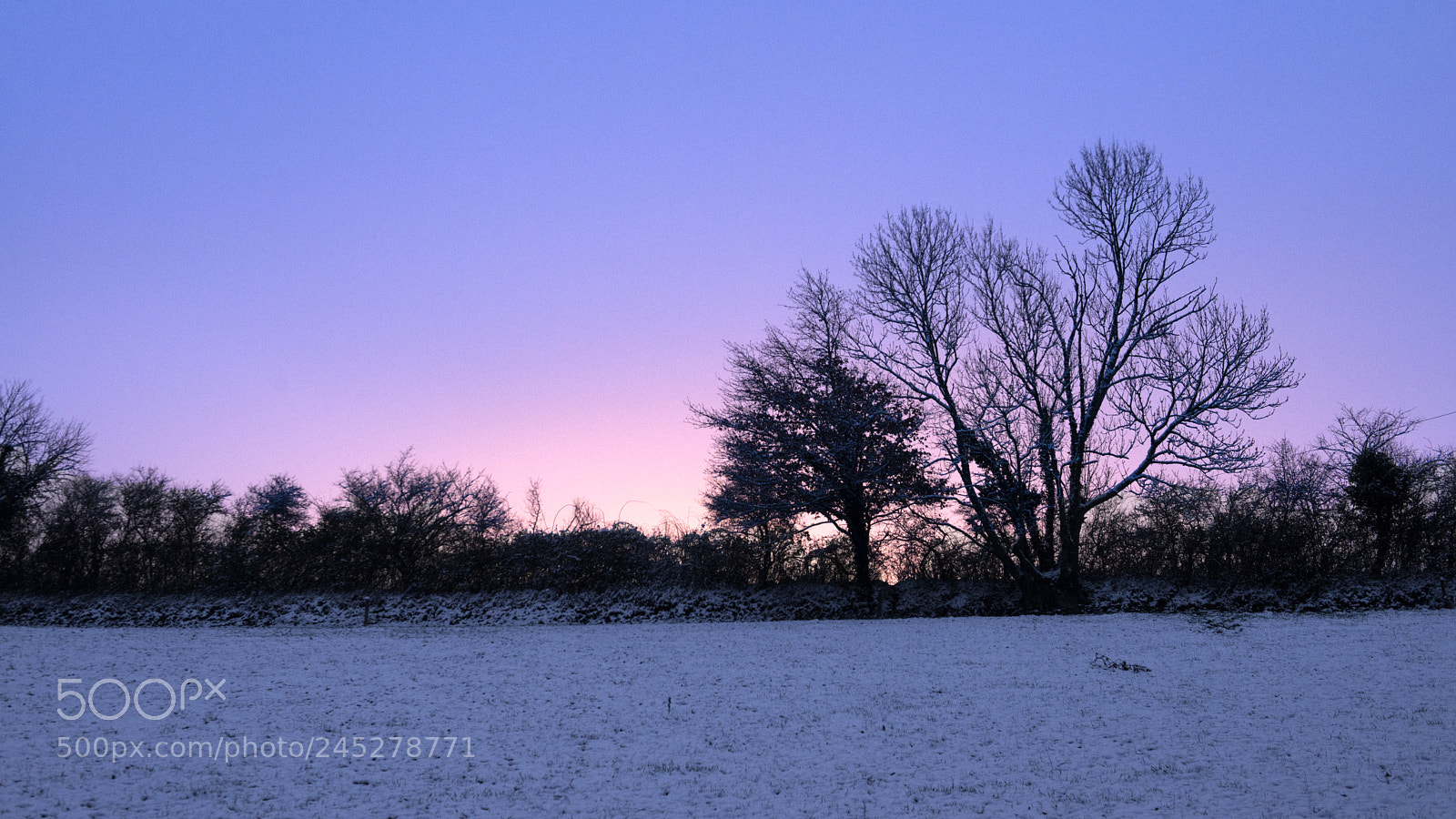 Nikon D800 sample photo. Chassignolles winter photography
