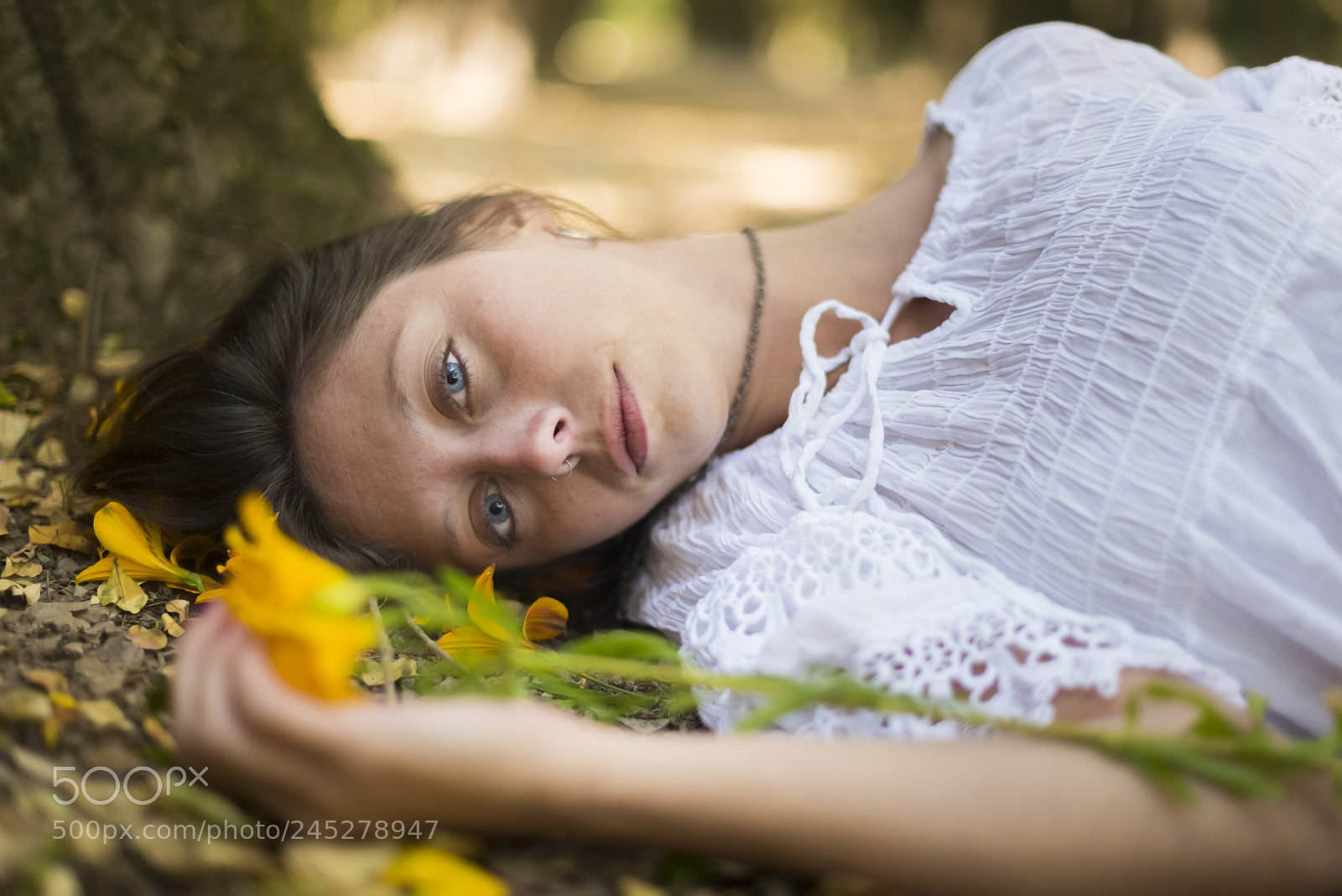 Nikon D810 sample photo. Pau photography