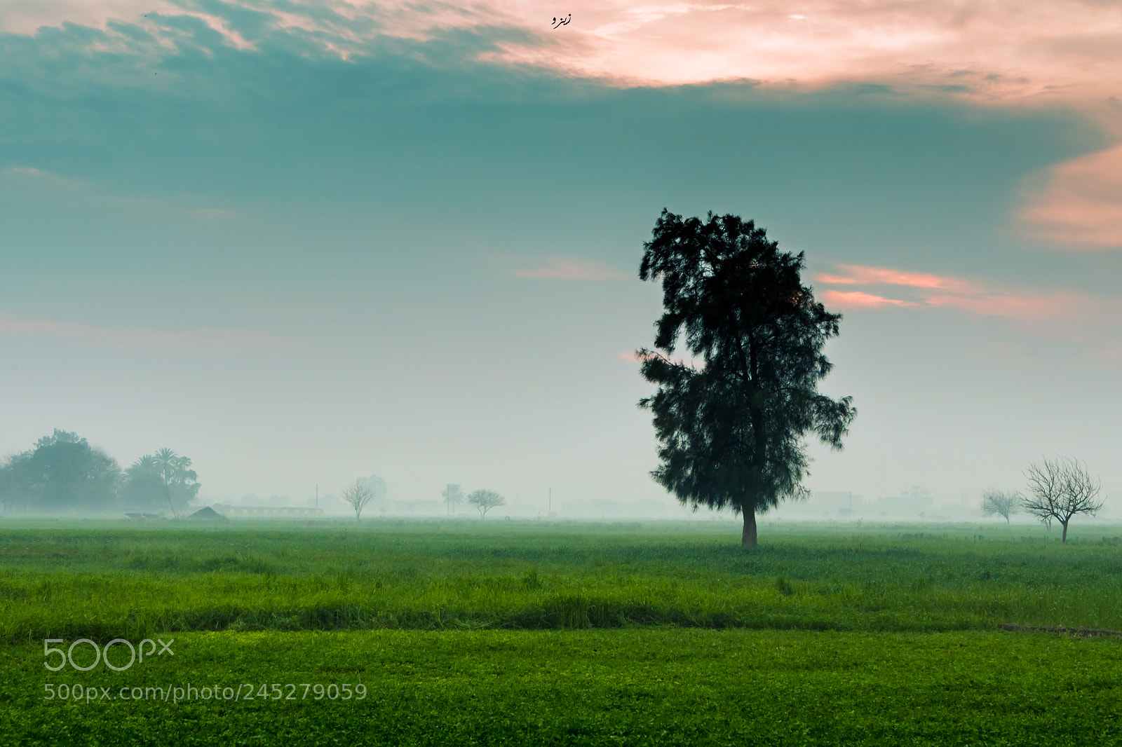 Canon EOS 750D (EOS Rebel T6i / EOS Kiss X8i) sample photo. Foggy sunset photography